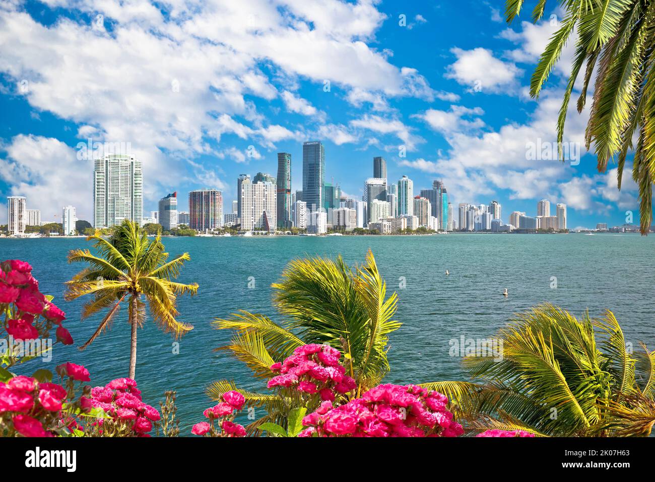 Blick auf die Skyline von Miami am Wasser durch Palmen und Blumen, Florida, Vereinigte Staaten von Amerika Stockfoto