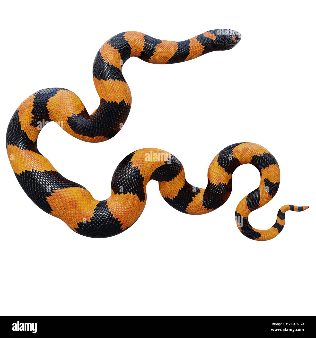 Bismarck-Ringelpython 3D Illustration. Stockfoto