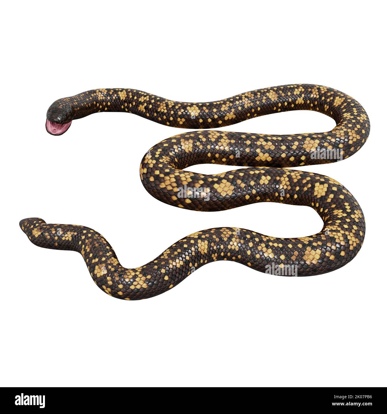 Calabar Python 3D-Illustration Stockfoto