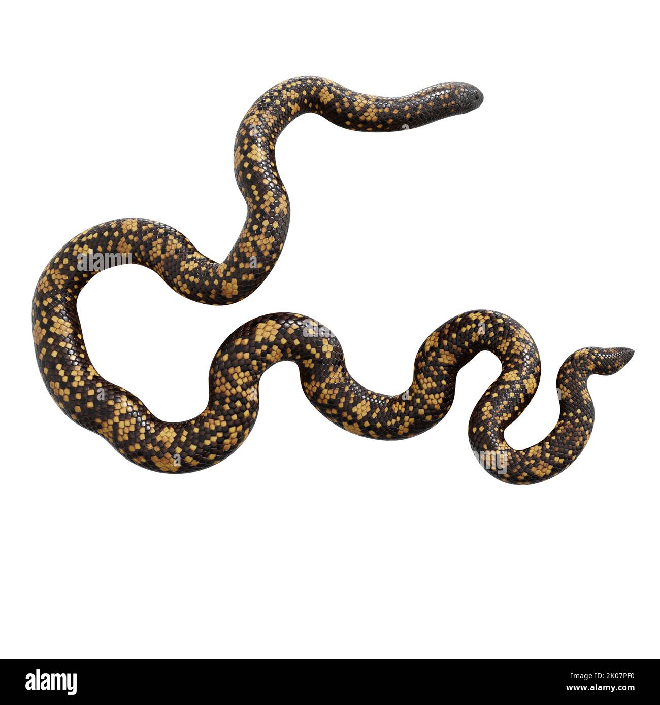 Calabar Python 3D-Illustration Stockfoto