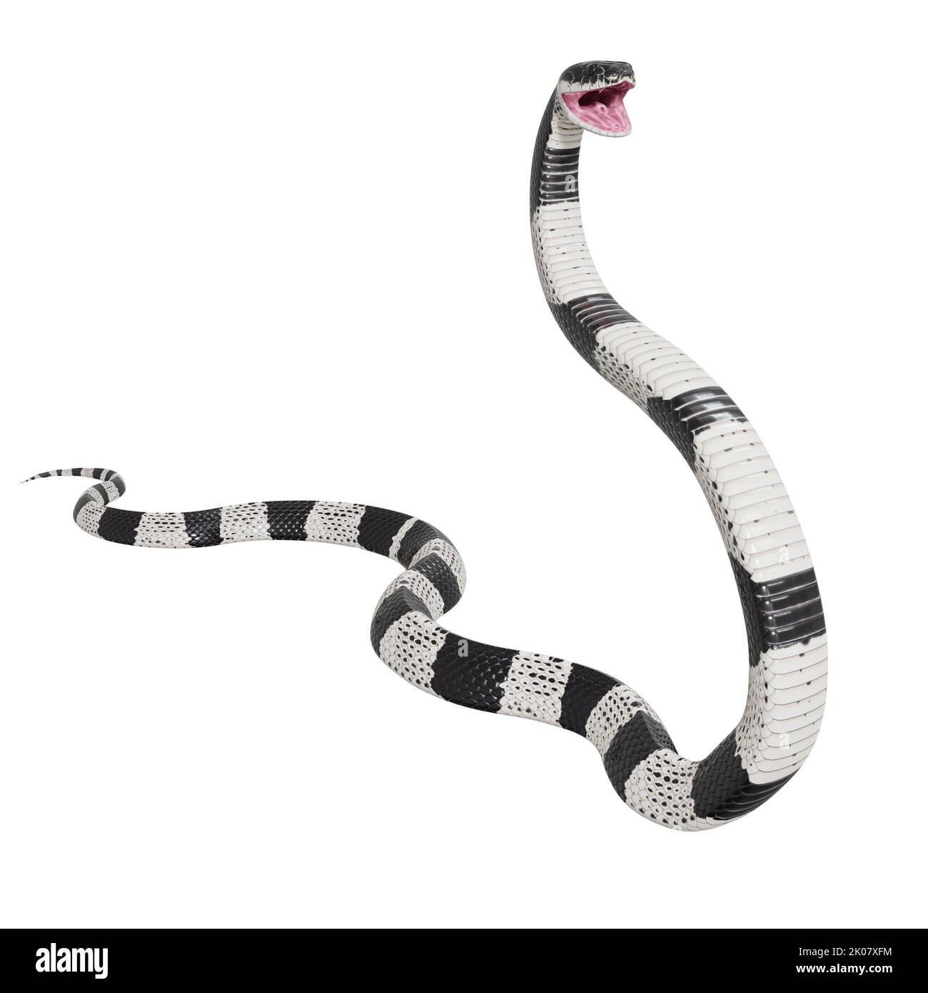 Malayan Krait 3D Illustration. Stockfoto