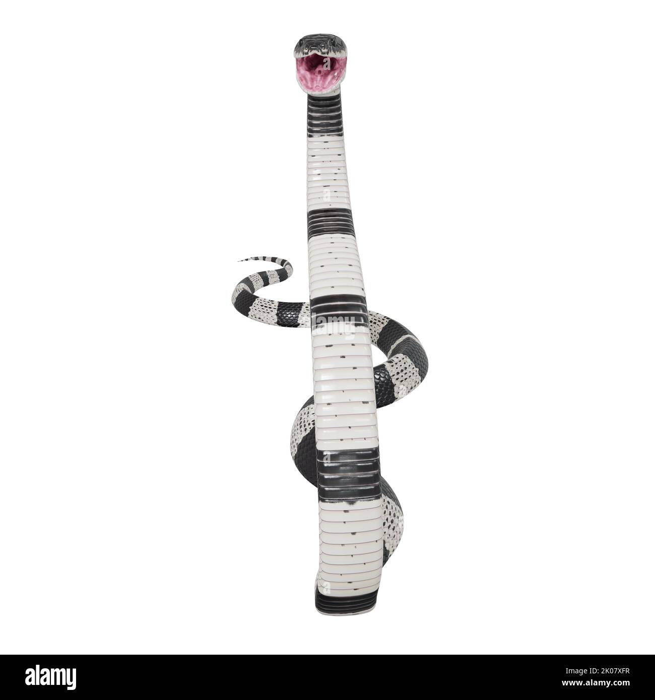 Malayan Krait 3D Illustration. Stockfoto