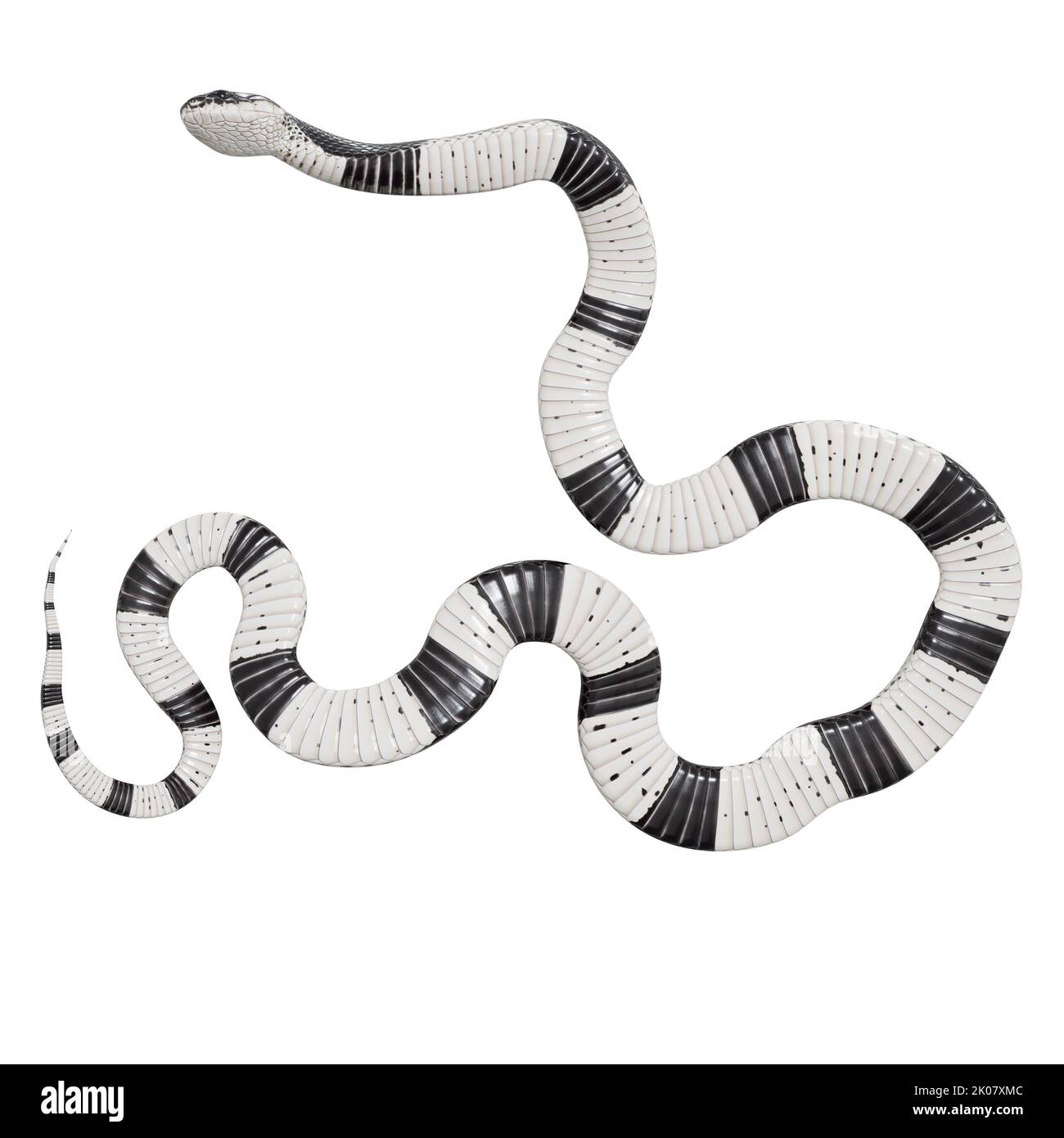 Malayan Krait 3D Illustration. Stockfoto