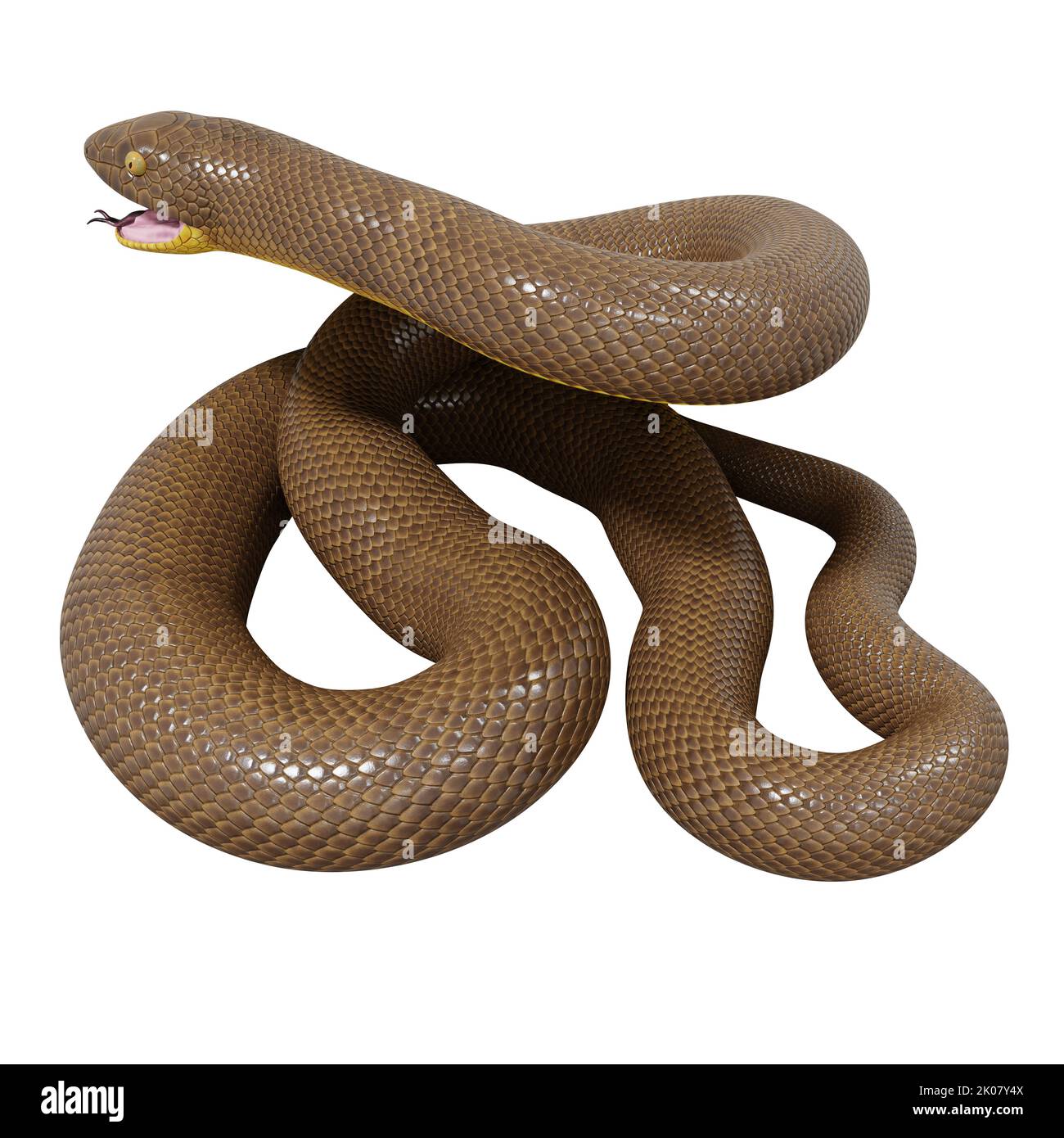 Malayan Krait 3D Illustration Stockfoto