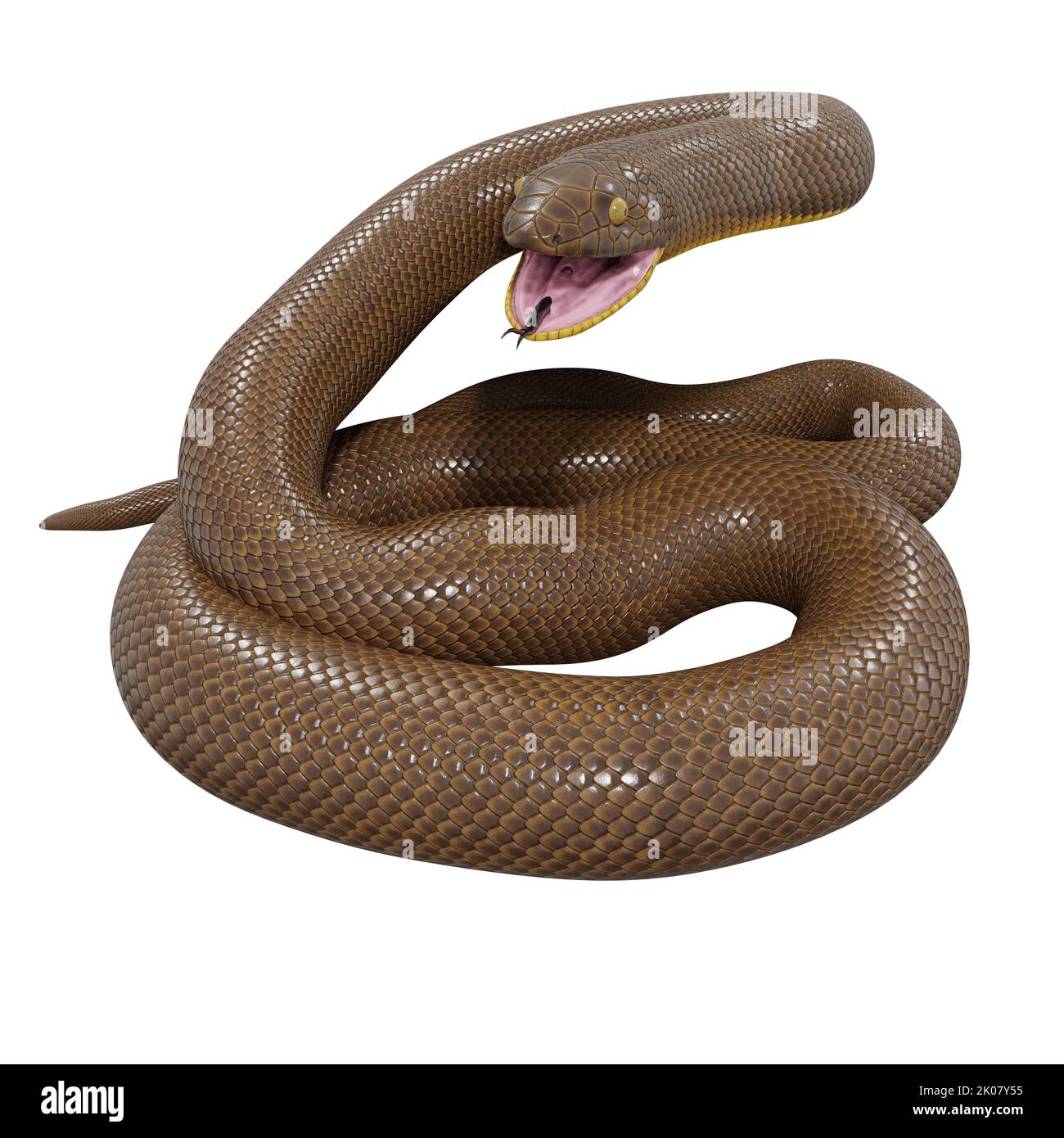 Malayan Krait 3D Illustration Stockfoto