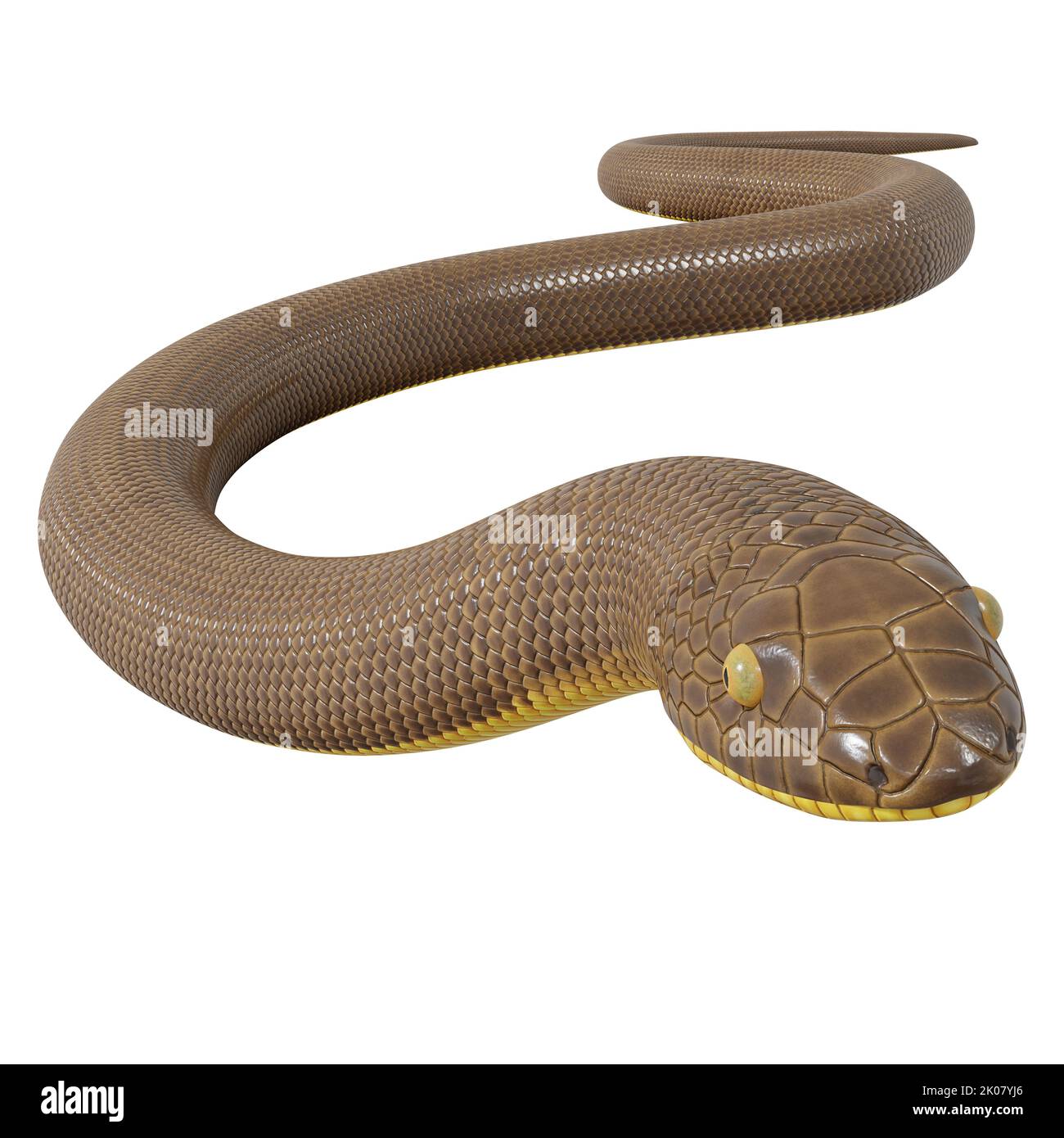 Malayan Krait 3D Illustration Stockfoto