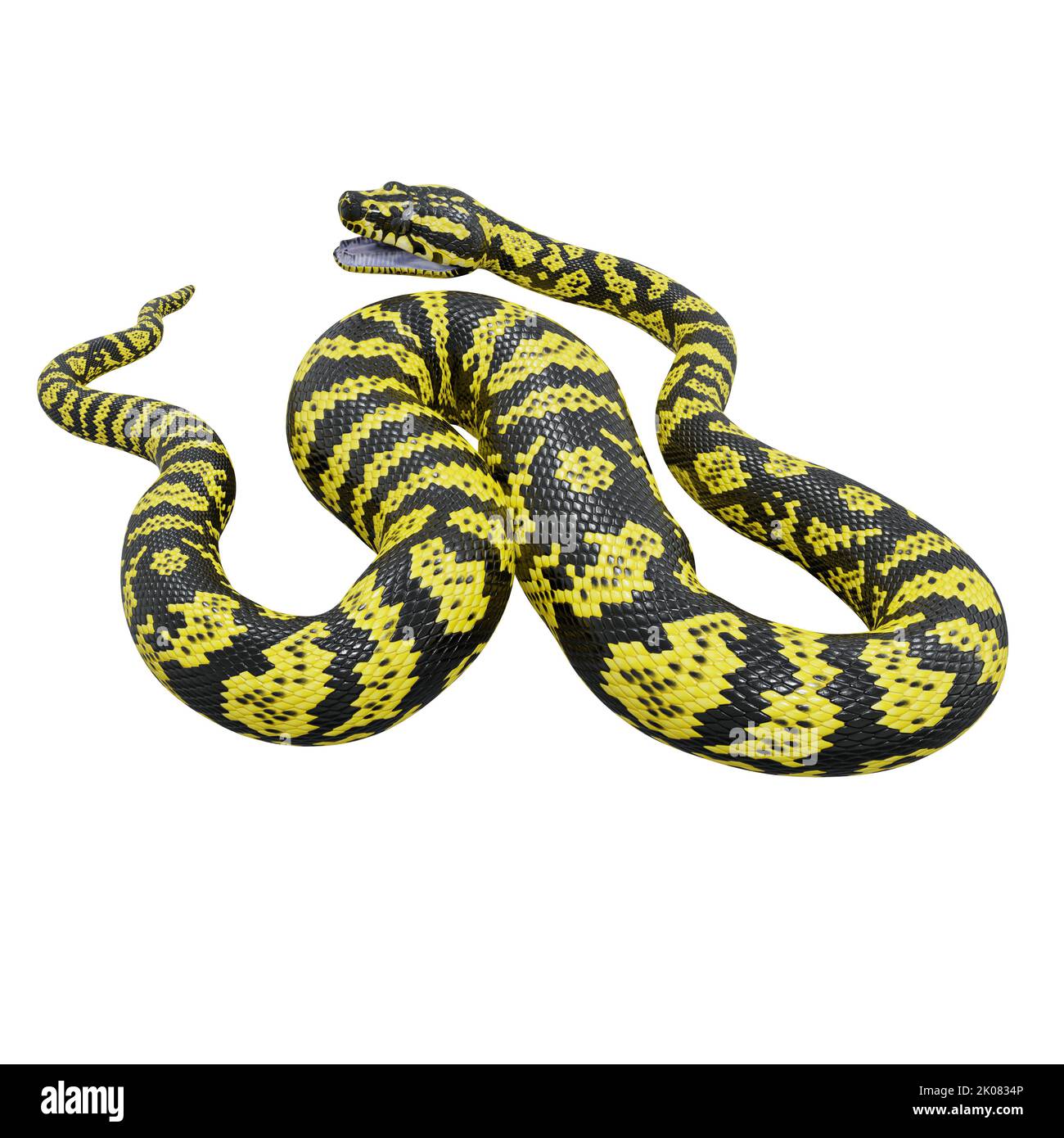 3D Illustration eines Zebra-Dschungelteppichs Python. Stockfoto