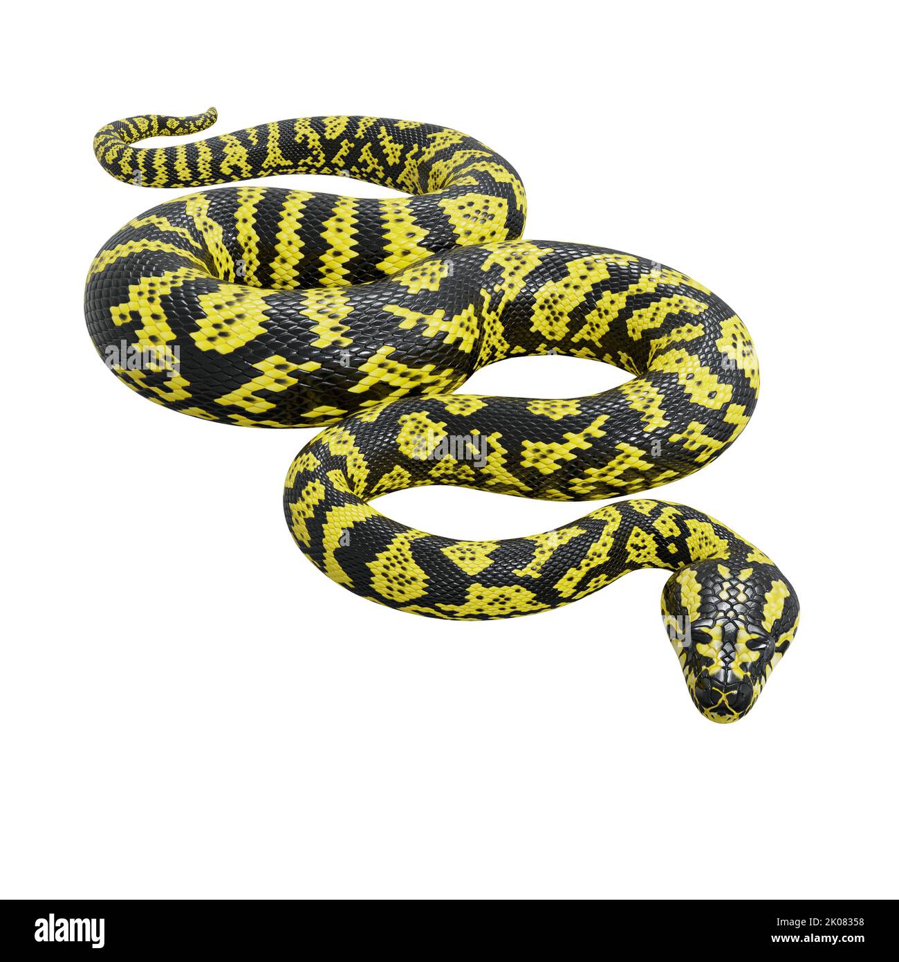 3D Illustration eines Zebra-Dschungelteppichs Python. Stockfoto