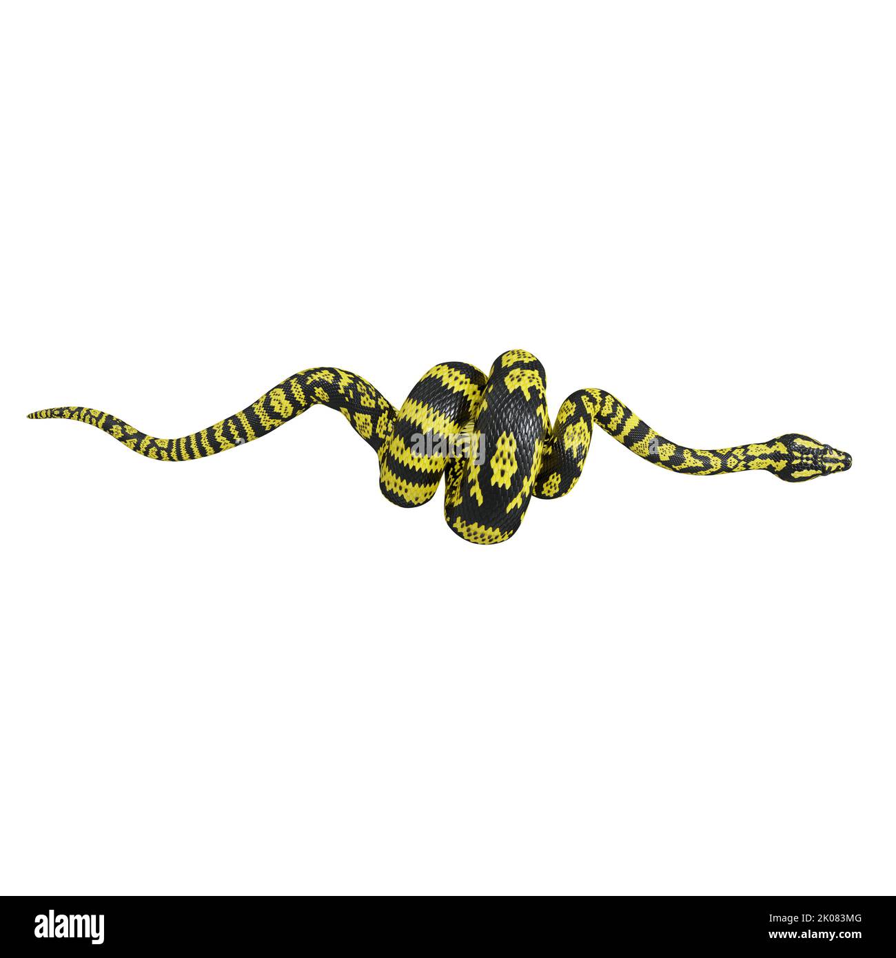 3D Illustration eines Zebra-Dschungelteppichs Python. Stockfoto