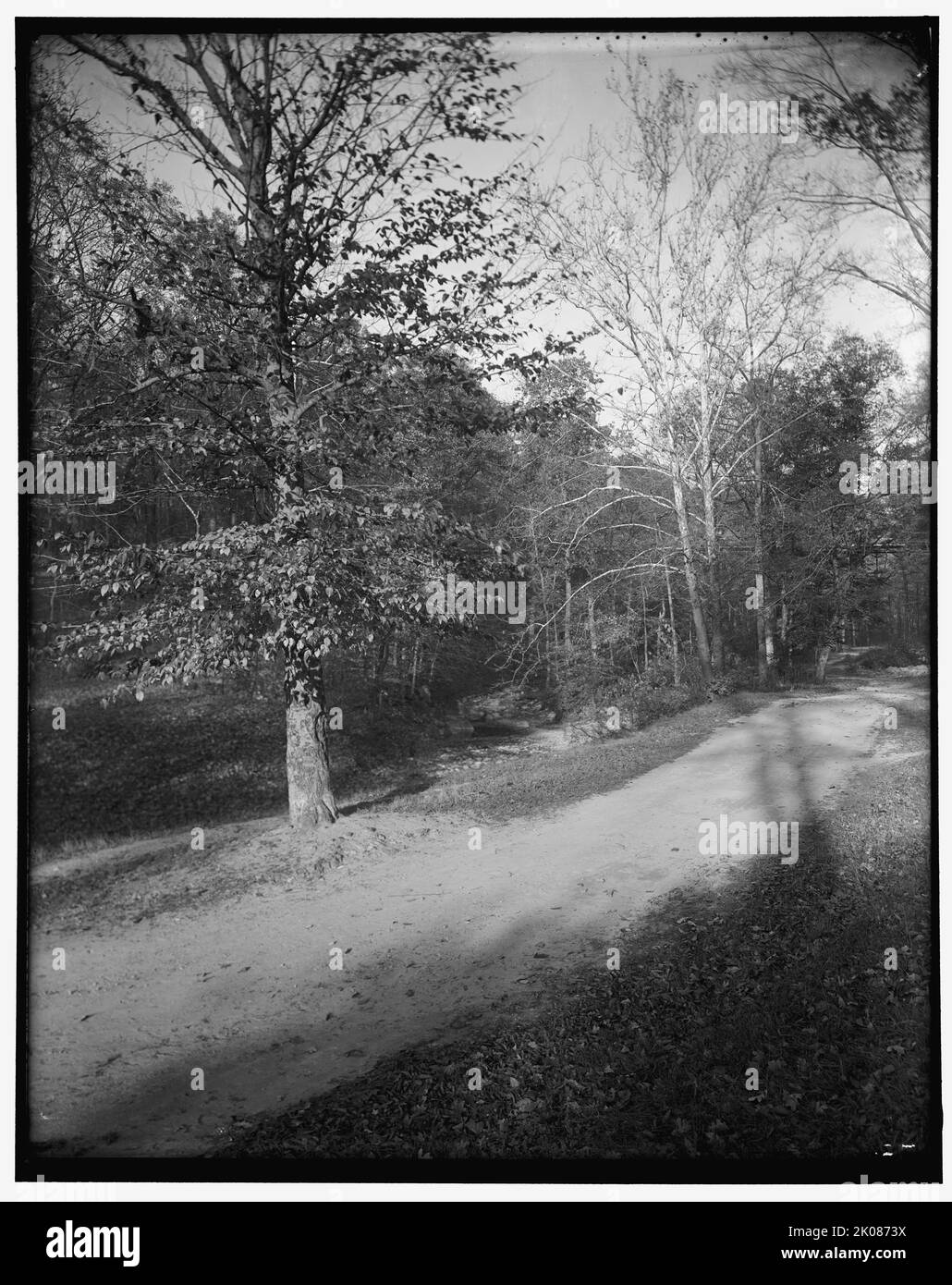Rock Creek Park Szenen, zwischen 1910 und 1920. Stadtpark in Washington, D.C., erstellt durch einen Kongress-Akt im Jahr 1890. Stockfoto