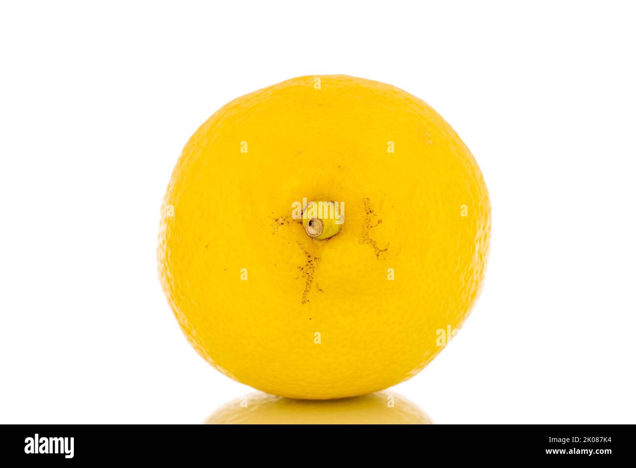 Eine leuchtend gelbe, saftige Zitrone, Makro, isoliert auf weißem Hintergrund. Stockfoto