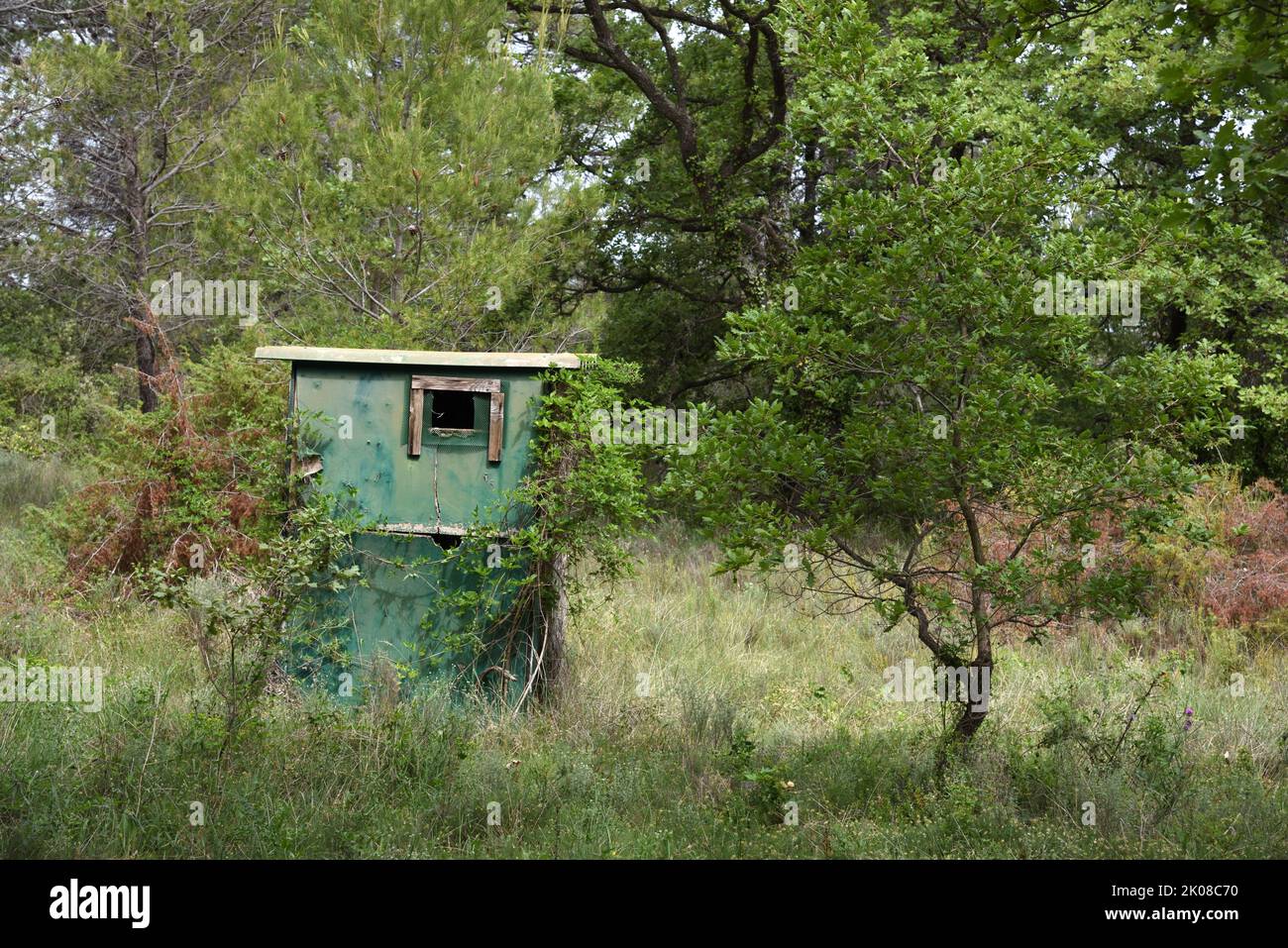 Green Wooden Hut, Hunting Hide, Hunting Blind oder Hunter's Hide in Forest Provence France Stockfoto