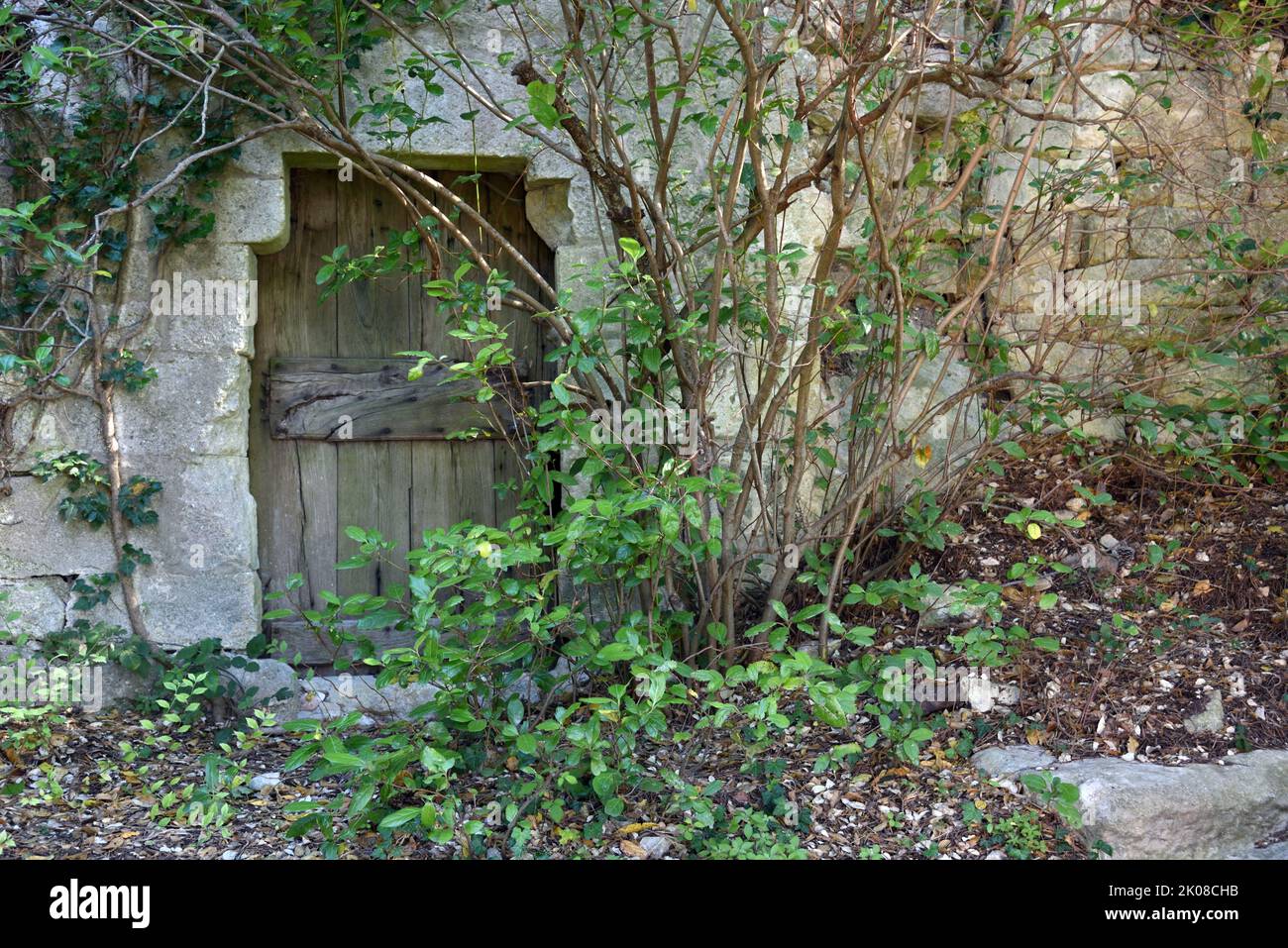 Alte Türöffnung oder Holztür in Steinmauer teilweise versteckt von überwucherten Sträuchern Oppède-le-Vieux Luberon Provence Stockfoto