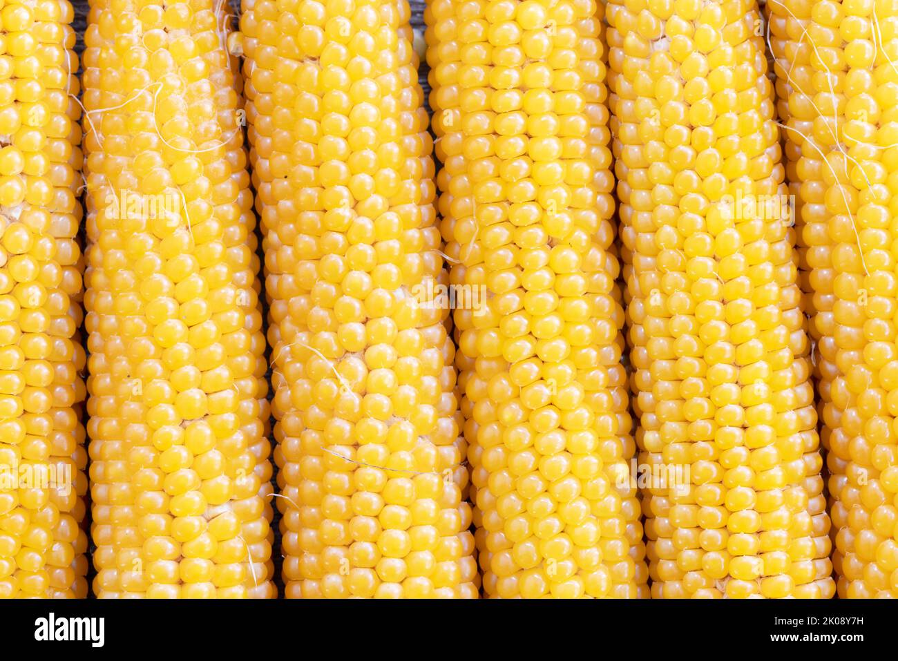 Kobben getrockneten Popcorn Füllrahmen für Lebensmittel Hintergrund. Stockfoto