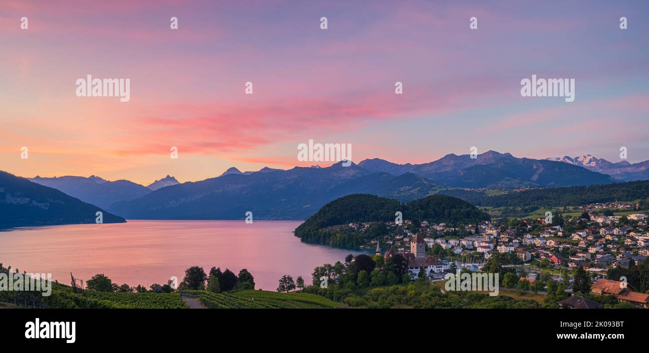 Ein schöner Sommersonnenaufgang in Spiez am Thunersee im Berner Oberland. Spiez gehört zum Schweizer Kanton Bern in der Zentralschweiz. T Stockfoto