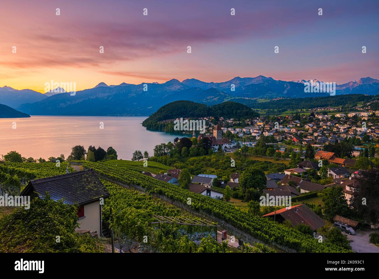 Ein schöner Sommersonnenaufgang in Spiez am Thunersee im Berner Oberland. Spiez gehört zum Schweizer Kanton Bern in der Zentralschweiz. T Stockfoto