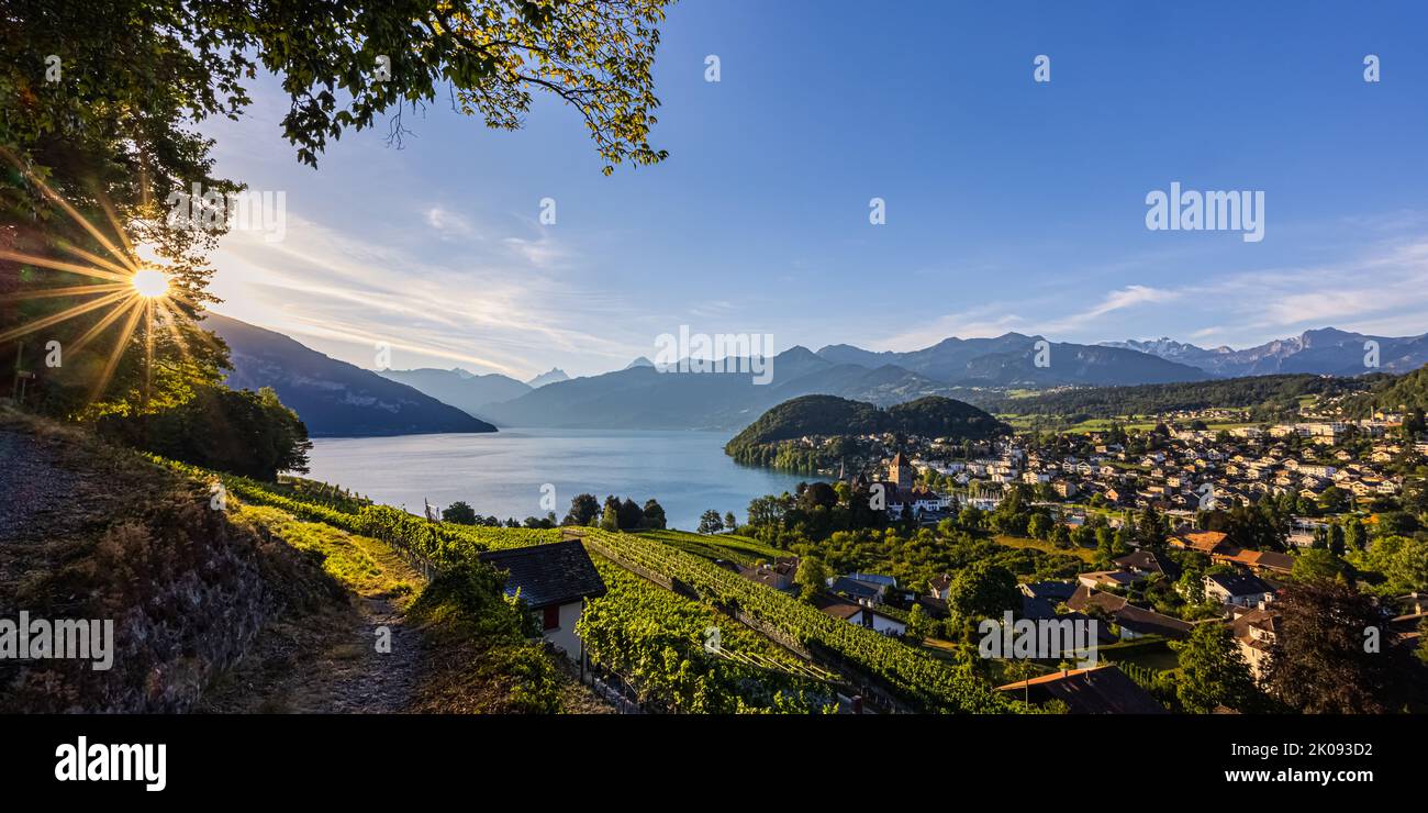 Ein schöner Sommersonnenaufgang in Spiez am Thunersee im Berner Oberland. Spiez gehört zum Schweizer Kanton Bern in der Zentralschweiz. T Stockfoto
