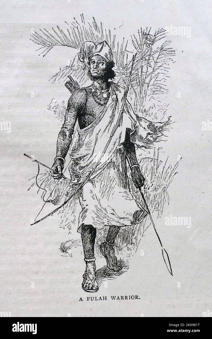 Ein Fulah-Krieger. Die Fula, Fulani oder Fulbe sind eine der größten ethnischen Gruppen in der Sahelzone und Westafrika, die weit über die Region verstreut sind. Schwarz-Weiß-Zeichnung. Stockfoto