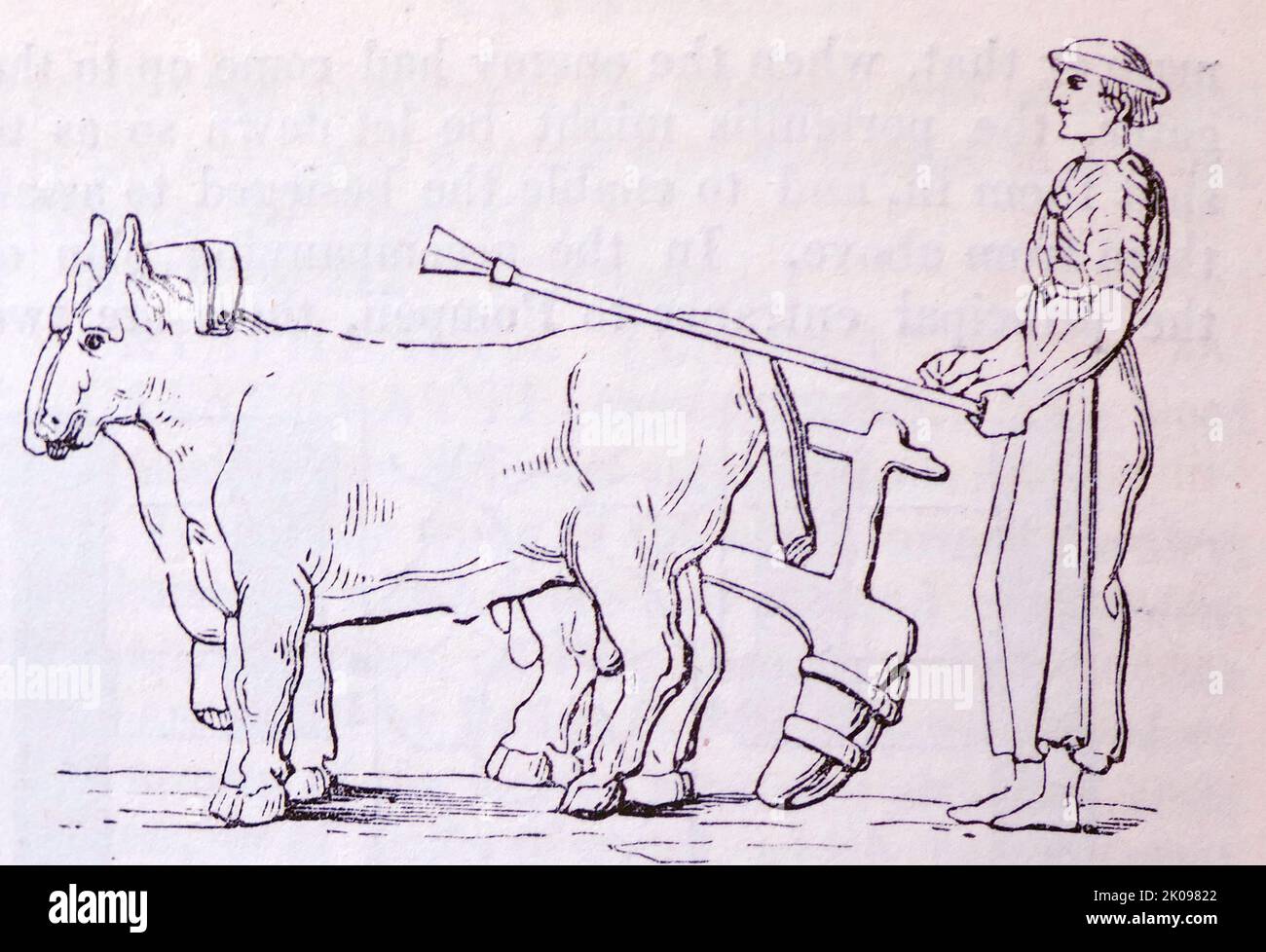Griechischer Bauer pflügt mit Tieren, die Pflug ziehen. Zeichnung. Stockfoto