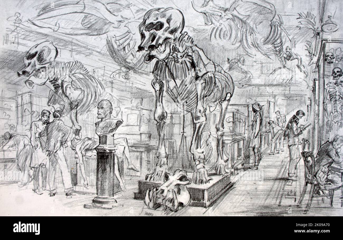 Skizze des Skeletts von William Blake im Anatomischen Museum des Royal College of Surgeons in Edinburgh. Bei den Morden von Burke und Hare handelte es sich um eine Serie von sechzehn Morden, die 1828 in Edinburgh, Schottland, über einen Zeitraum von etwa zehn Monaten verübt wurden. Sie wurden von William Burke und William Hare durchgeführt, die die Leichen bei seinen Anatomievorträgen an Robert Knox zur Dissektion verkauften. Stockfoto