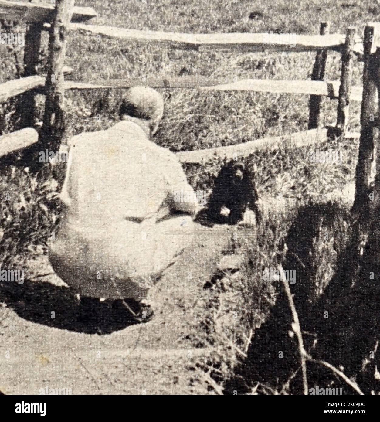 Henry Morgenthau, Jr. (11. Mai 1891 - 6. Februar 1967) war während der meisten Regierungszeit von Franklin D. Roosevelt Finanzminister der Vereinigten Staaten. Er spielte eine wichtige Rolle bei der Konzeption und Finanzierung des New Deal. Nach 1937, während er noch für das Finanzministerium verantwortlich war, spielte er die zentrale Rolle bei der Finanzierung der Teilnahme der Vereinigten Staaten am Zweiten Weltkrieg Stockfoto