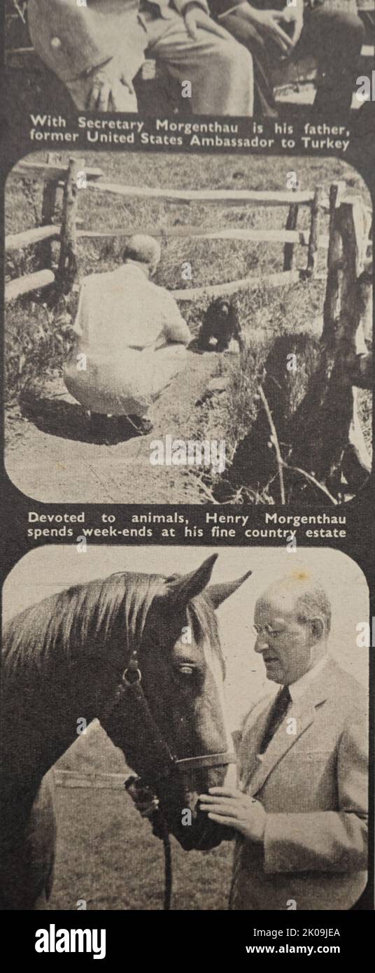 Henry Morgenthau, Jr. (11. Mai 1891 - 6. Februar 1967) war während der meisten Regierungszeit von Franklin D. Roosevelt Finanzminister der Vereinigten Staaten. Er spielte eine wichtige Rolle bei der Konzeption und Finanzierung des New Deal. Nach 1937, während er noch für das Finanzministerium verantwortlich war, spielte er die zentrale Rolle bei der Finanzierung der Teilnahme der Vereinigten Staaten am Zweiten Weltkrieg Stockfoto