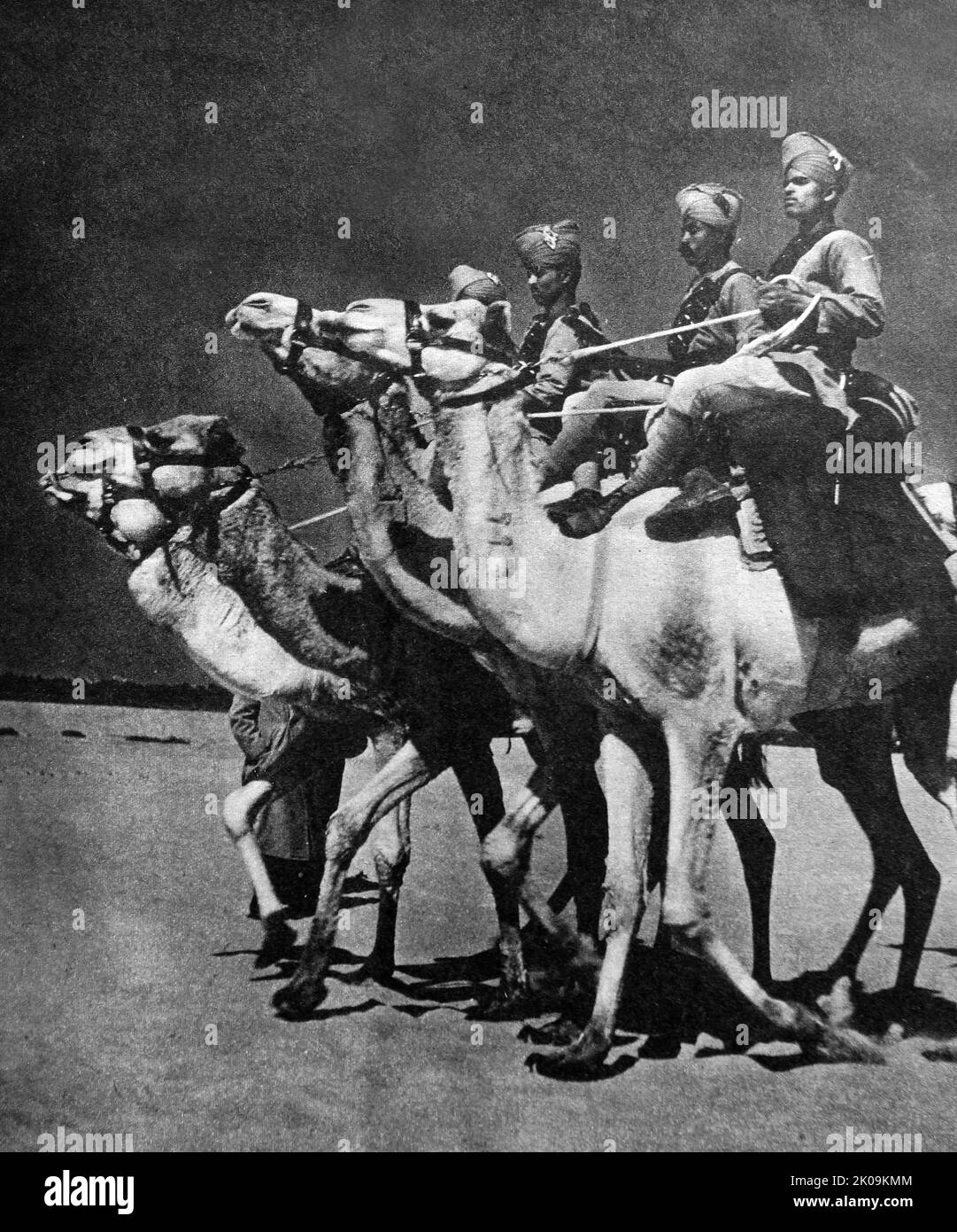 Ägyptisches Kamelkorps, das sich durch die Wüste bewegt, um das britische Armeekorps während des Zweiten Weltkriegs zu unterstützen Stockfoto