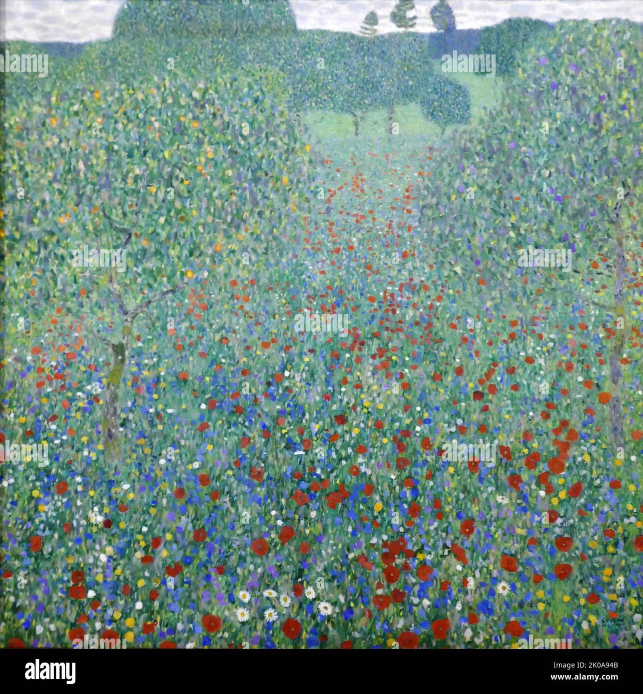 Blühende Mohnblumen, 1907. Mohnfeld. Öl auf Leinwand von Gustav Klimt. Gustav Klimt (14. Juli 1862 - 6. Februar 1918) war ein österreichischer Symbolmaler und einer der prominentesten Vertreter der Wiener Secession. Klimt ist bekannt für seine Gemälde, Wandgemälde, Skizzen und andere Kunstgegenstände Stockfoto