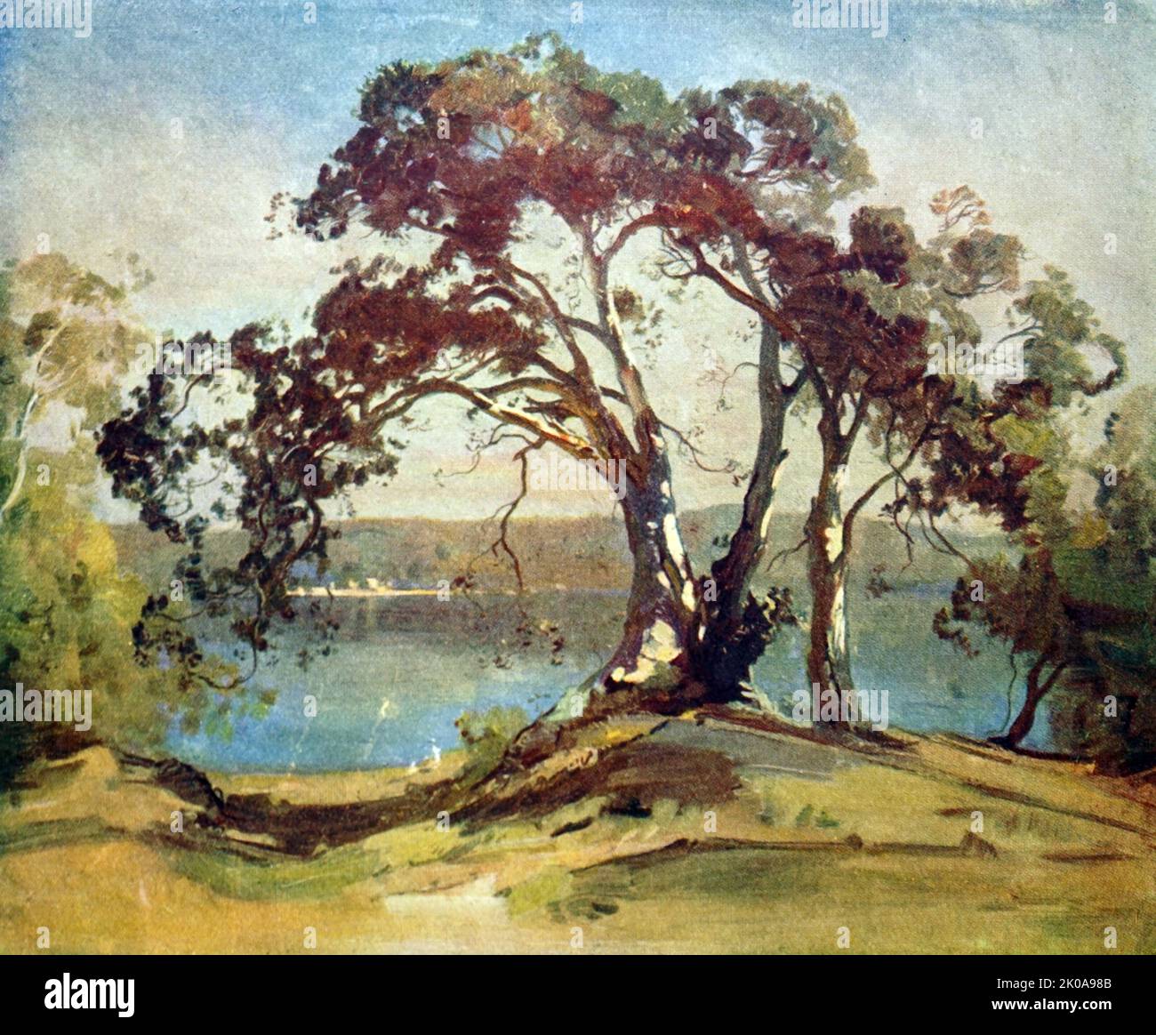 Riesiger Feigenbaum, Port Hacking. Ölgemälde von Penleigh Boyd. Theodore Penleigh Boyd (15. August 1890 - 27. November 1923) war ein in Großbritannien geborener australischer Künstler Stockfoto