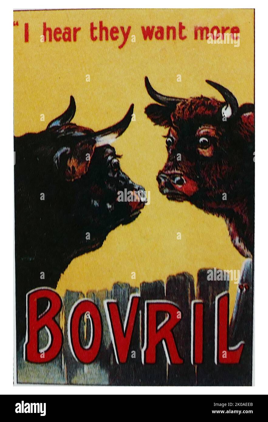Werbung für Bovril (12930), den markenrechtlich geschützten Namen einer dicken und salzigen Fleischextraktpaste ähnlich einem Hefeextrakt, der 1870s von John Lawson Johnston entwickelt wurde Stockfoto