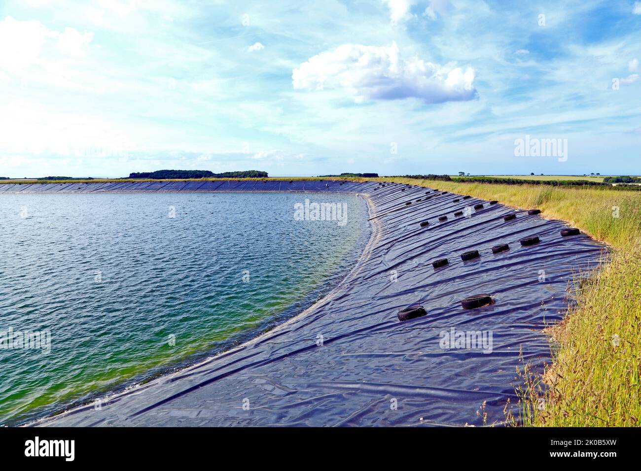 landwirtschaftlichen Reservoir, künstlichen, Versorgung mit Wasser für die Bewässerung der Landwirtschaft, Norfolk, England, UK Stockfoto