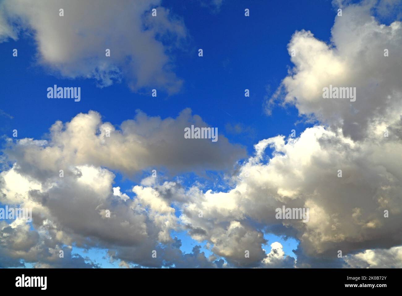 Weiße Cumuluswolke, graue Wolken, blauer Himmel, Himmel, Wetter, meteorologie Stockfoto