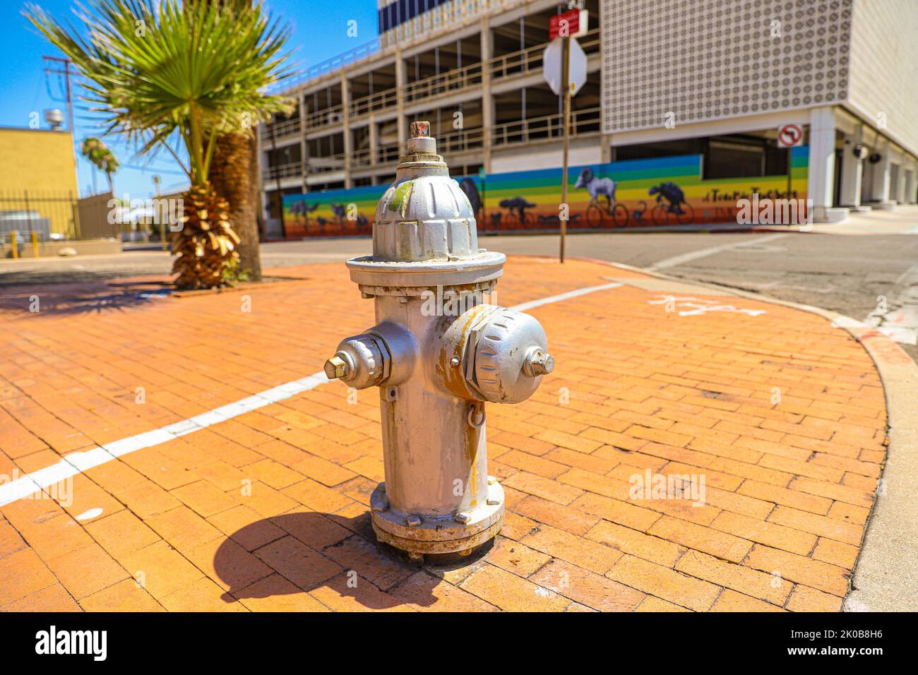 Silberner Gehweg Wasserhydrant hidrante de agua en la banqueta de color plata, Downtown Tucson, Arizona, USA. Stadt Tucson. Ist eine Stadt in Arizona, in der Sonoran Wüste, umgeben von mehreren Bergketten, einschließlich der Sierra de Santa Catalina. Die restaurierten Villen des historischen Viertels El Presidio und die adobe-Reihenhäuser des Barrio Historico spiegeln die Anfänge der Stadt aus dem 19.. Jahrhundert wider. Tucson ist die Heimat der University of Arizona und hat viele Vintage-Shops, Nachtclubs und Restaurants auf der Fourth Avenue (© Foto Luis Gutierrez by NortePhoto.com) Centro de la ciudad de T Stockfoto