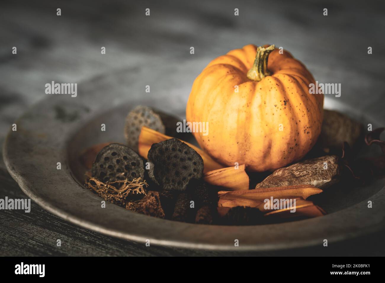 Herbstliche Anordnung von reifen frischen Kürbis, trockenen Blumen und anderen organischen trockenen Gegenständen auf einem rustikalen Silberteller und einer grungigen Tischplatte. Stockfoto