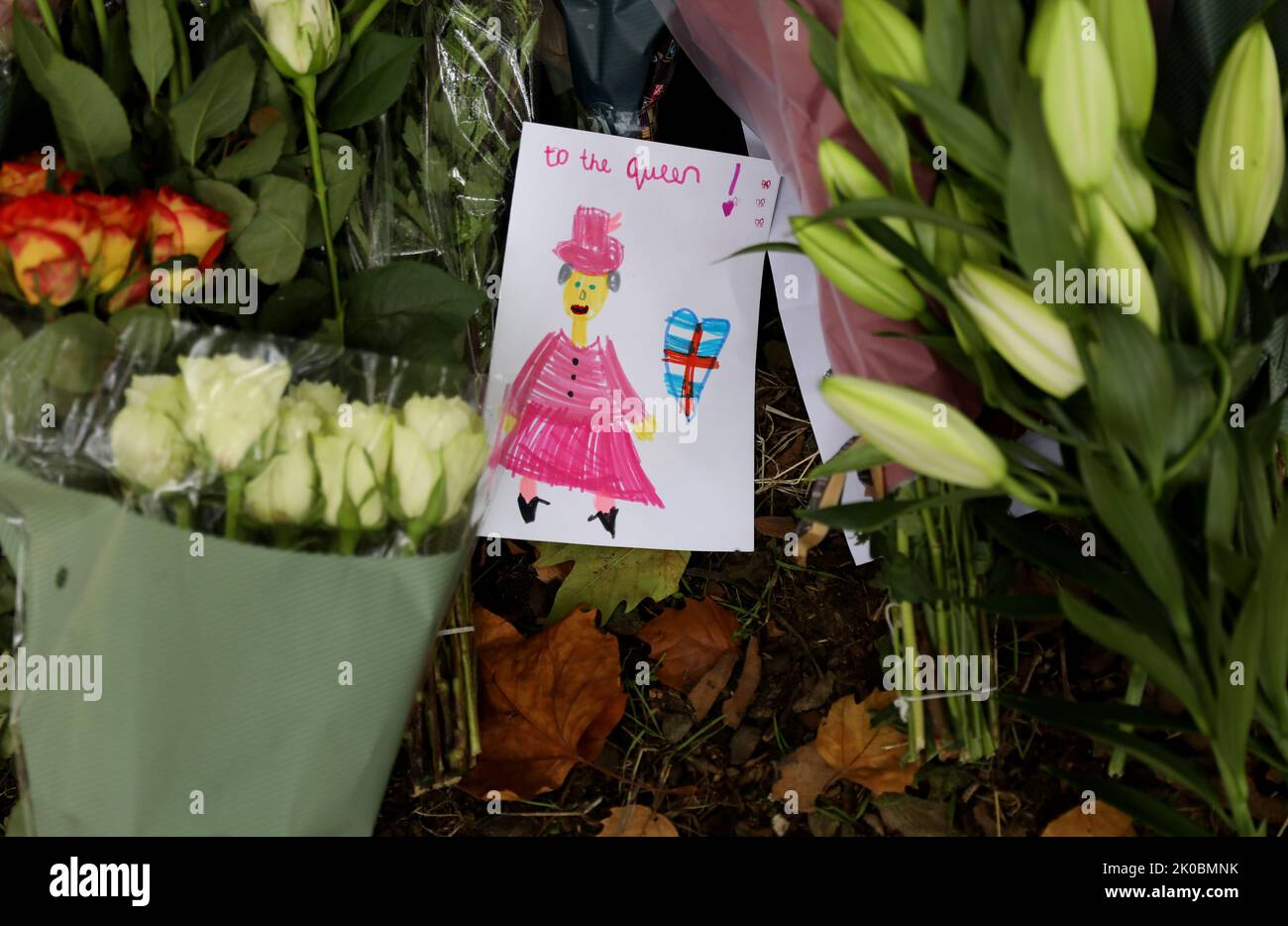 London, Großbritannien. 10. September 2022. Eine Karte ist inmitten von Blumen zu sehen, die an die verstorbene Königin Elizabeth II. Im Green Park in London, Großbritannien, am 10. September 2022 erinnern. Königin Elizabeth II., Großbritanniens am längsten regierende Monarchin der Geschichte, ist im Alter von 96 Jahren gestorben, teilte Buckingham Palace am Donnerstag mit. Kredit: Li Ying/Xinhua/Alamy Live Nachrichten Stockfoto