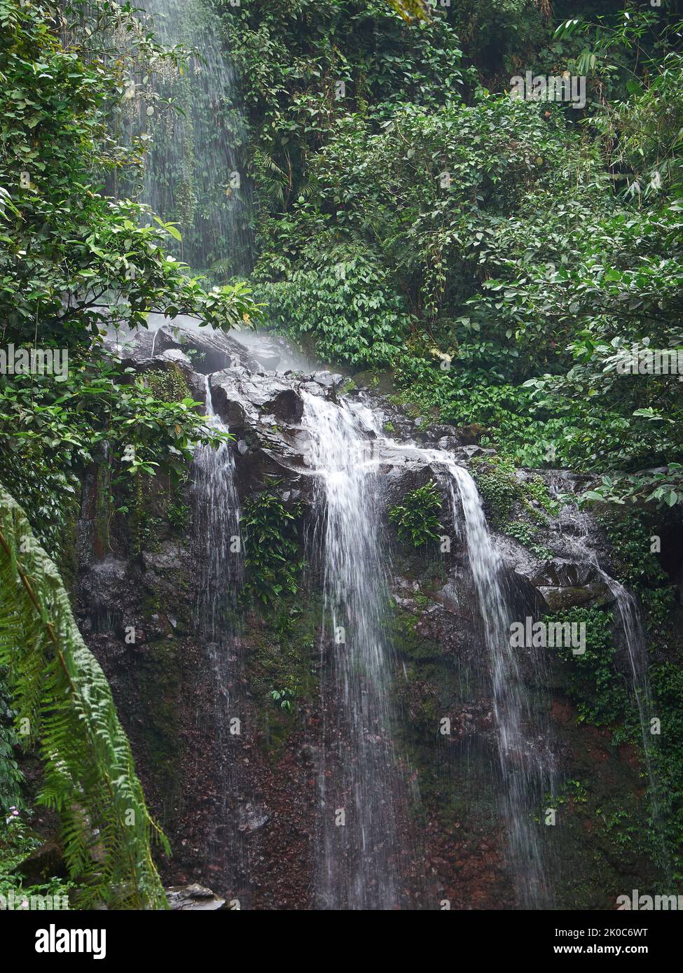 Ein kleiner Wasserfall, der zwischen Felsen in einem tropischen Waldfluss in West-Java, Indonesien, fließt Stockfoto