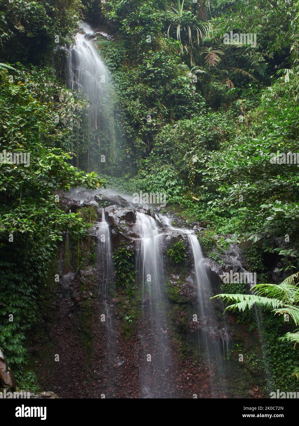Ein kleiner Wasserfall, der zwischen Felsen in einem tropischen Waldfluss in West-Java, Indonesien, fließt Stockfoto