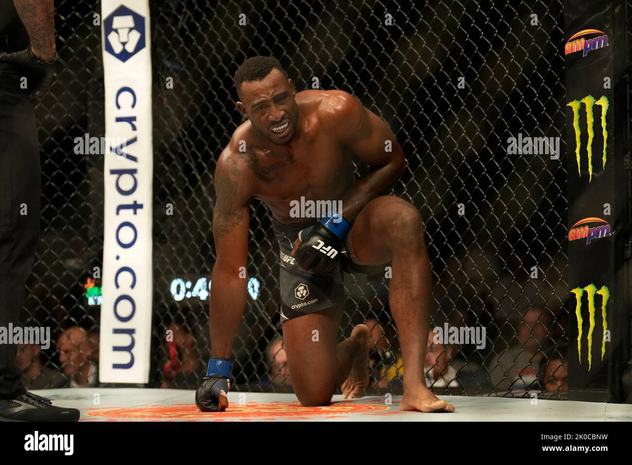 Denis tiuliulin l und jamie pickett r Fotos und Bildmaterial in hoher