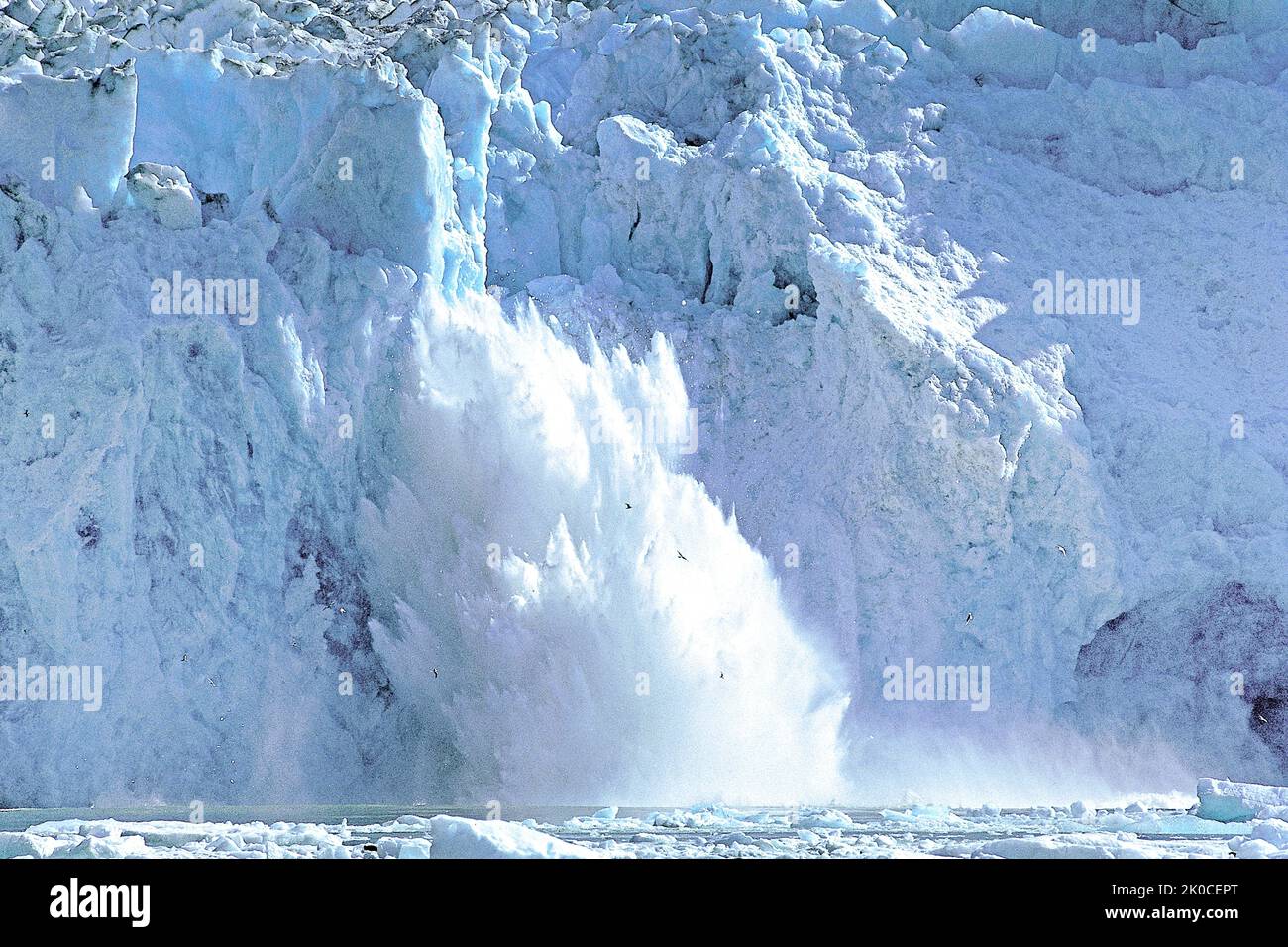 Schmelzender Eisberg, Eisbrocken fallen ins Meer, Antarktis Stockfoto