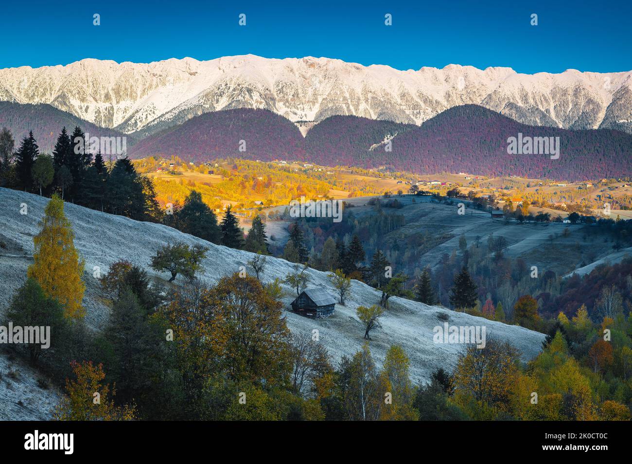 Atemberaubende Herbstlandschaft mit tauhem Gras und bunten Laubbäumen. Schöner Sonnenaufgang und verschneite Berge im Hintergrund, Bran, Siebenbürgen, Rumänien Stockfoto