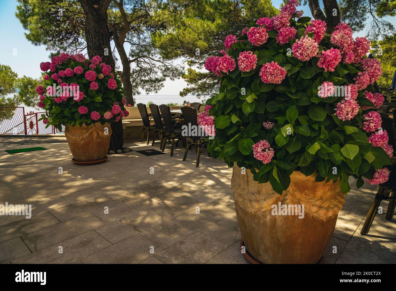 Nette mediterrane Strandbar und Restaurant, dekoriert mit schönen Blumen, Brela, Makarska riviera, Dalmatien, Kroatien, Europa Stockfoto