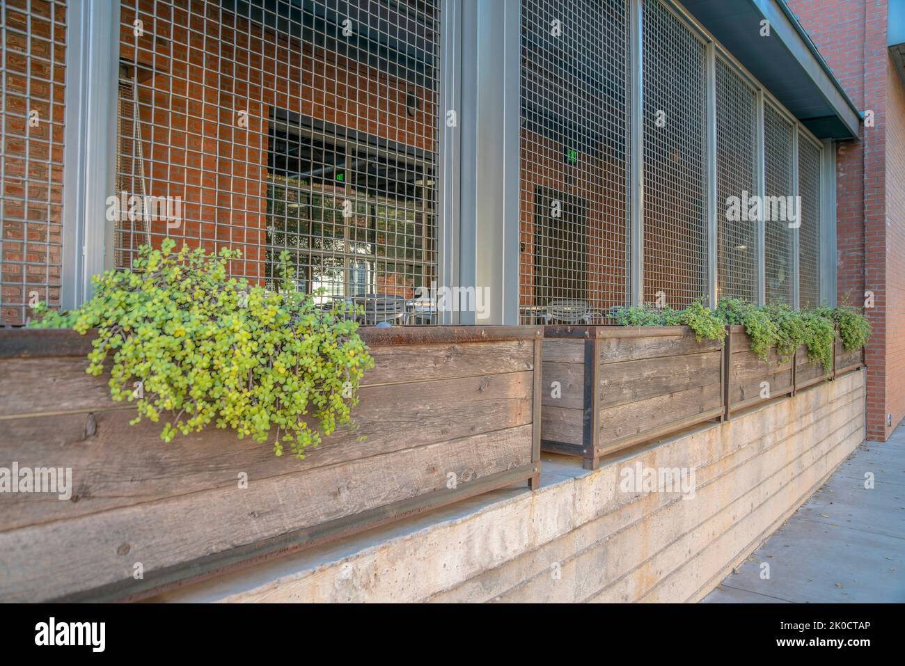 Holzpflanzer vor einem Restaurantgebäude in Phoenix, Arizona. Über der Betonwand befinden sich Pflanzgefäße an Metallgitterwänden. Stockfoto