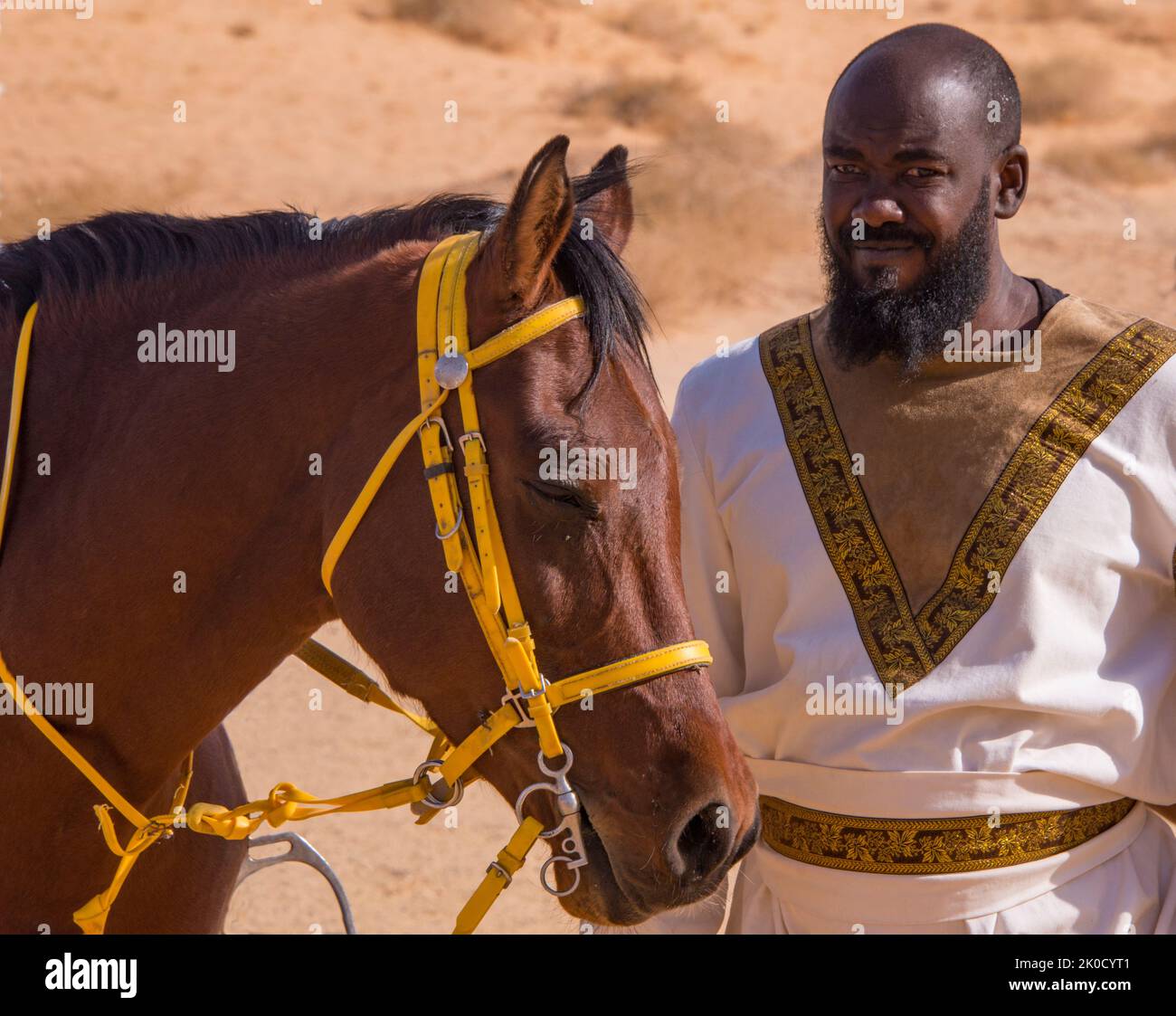 Porträt von Pferd und Handler Hegra Saudia Arabien Stockfoto