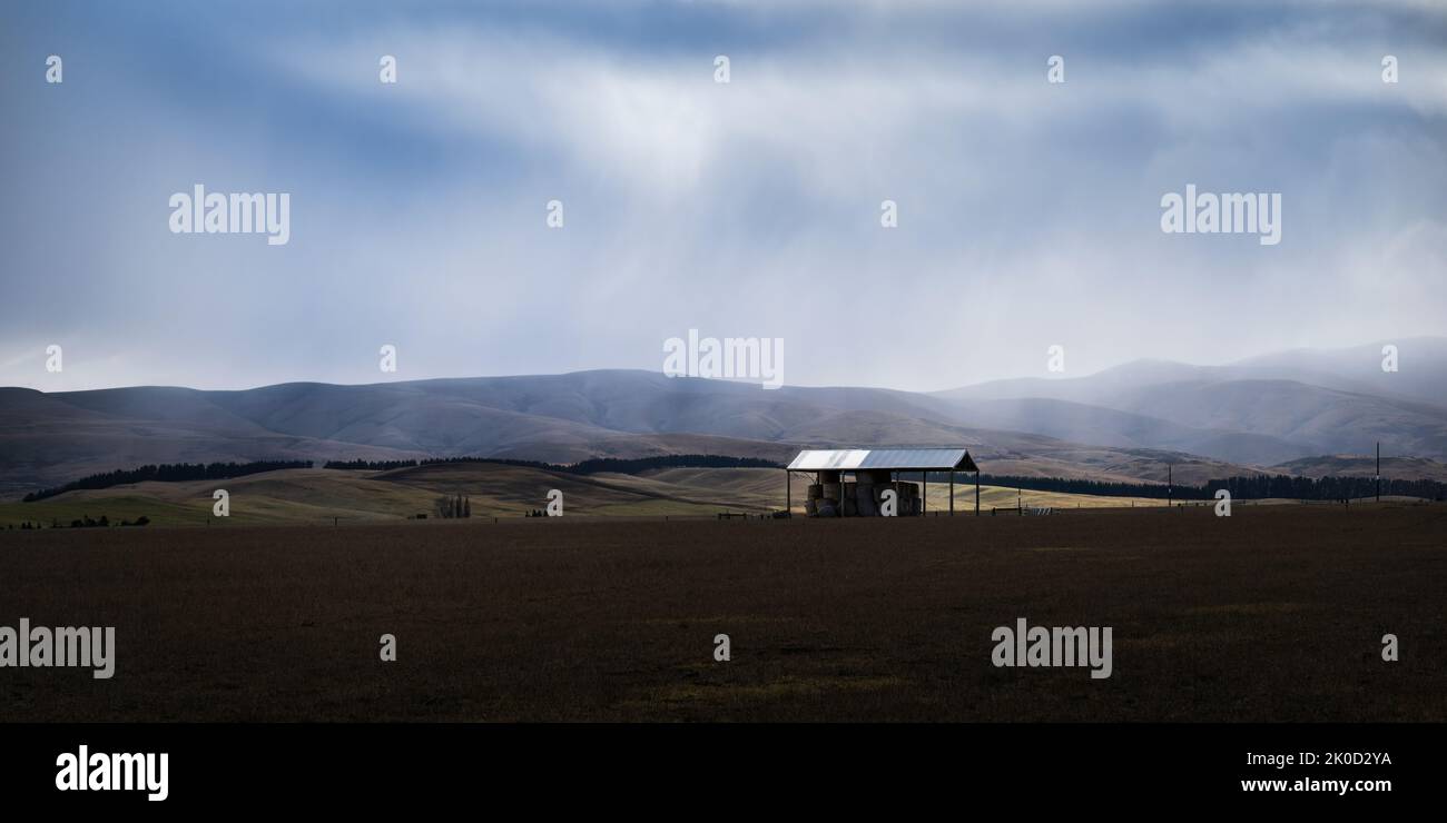 Einstünder Heuschuppen in der weiten Landschaft. Schafe weiden in der Ferne. Lichter, die durch dunkle Wolken hinunterströmen. Central Otago. Stockfoto
