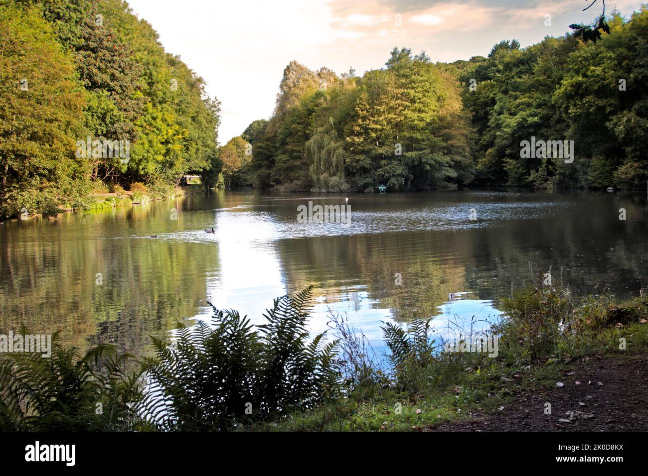 Moss Valley Contry Park, Gwersyllt, Brynteg, Wrexham, Wales Stockfoto