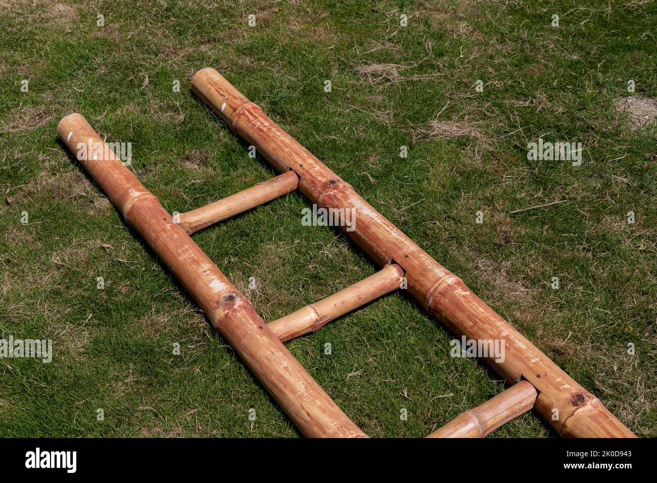 Bambusleiter im Rasen oder Wachstum oder neues Opportunitätskonzept Stockfoto