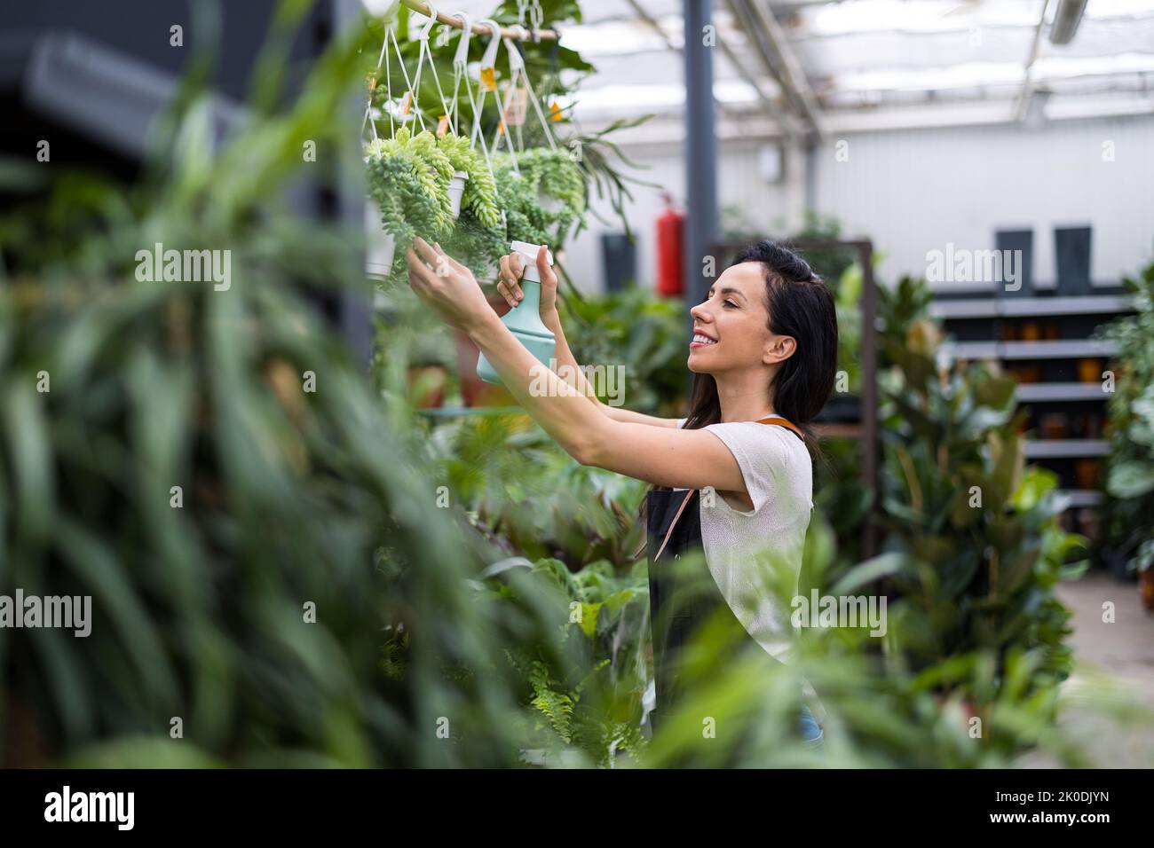 Frau, die in einem Gartencenter arbeitet Stockfoto