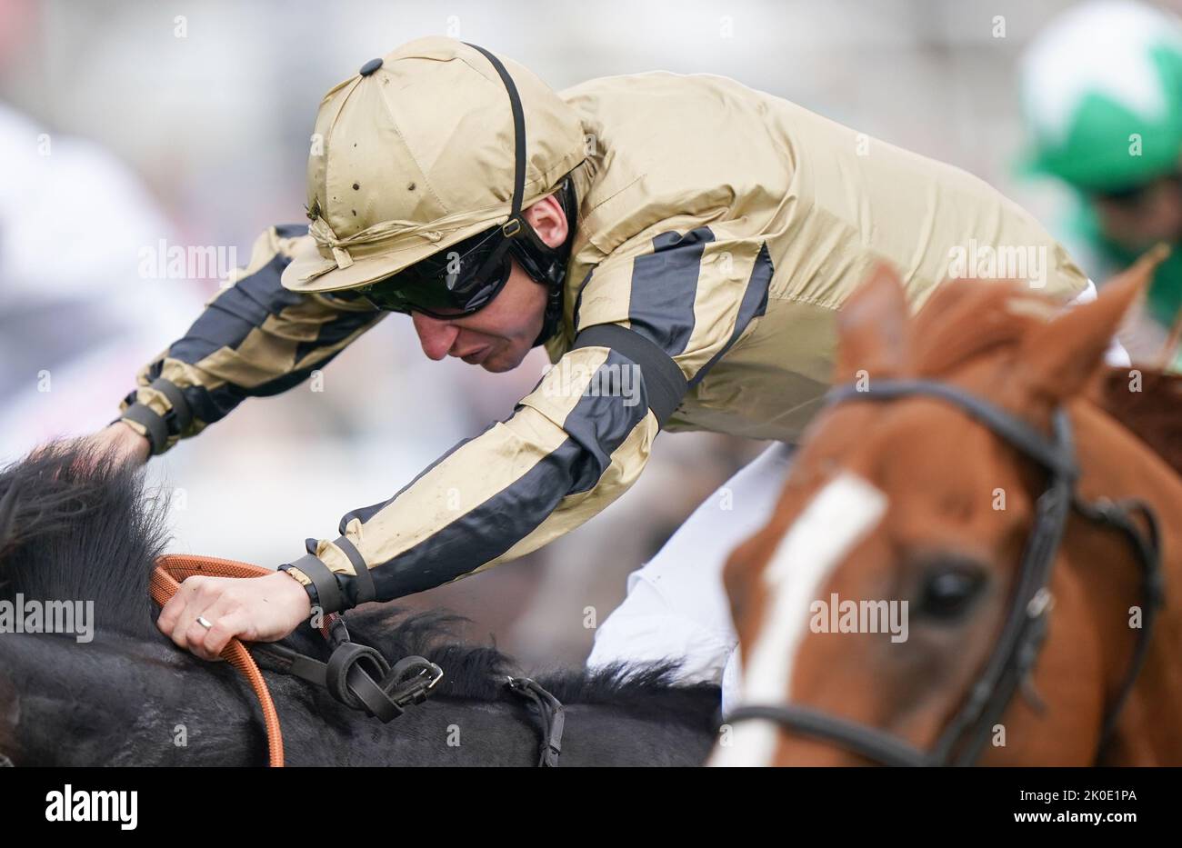 Asjad von Jockey P.J. geritten McDonald gewinnt den Cazoo Handicap auf der Doncaster Racecourse. Bilddatum: Sonntag, 11. September 2022. Stockfoto