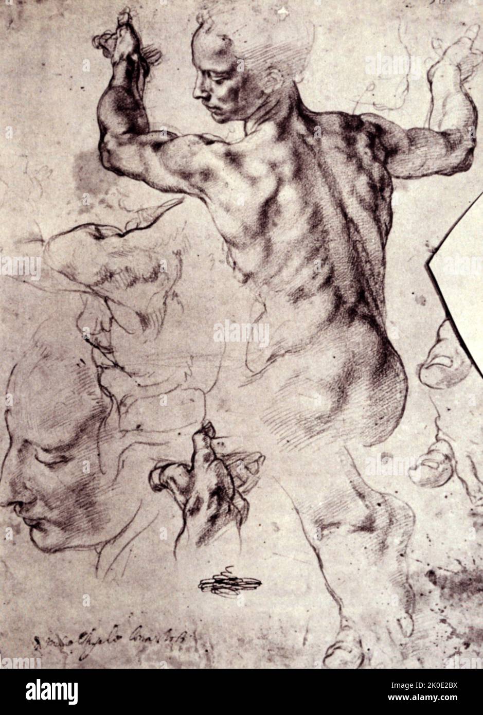 Studien für die libysche Sibyl und eine kleine Skizze für eine sitzende Figur (rückseitig) ca. 1510-11. Dieses doppelseitige Blatt mit genau beobachteten Lebensstudien ist die prächtigsten Zeichnungen von Michelangelo in Nordamerika, die am 8. August 1924 vom Metropolitan Museum of Art erworben wurde. Michelangelo di Lodovico Buonarroti Simoni (6. März 1475 - 18. Februar 1564), einfach als Michelangelo bekannt, war ein italienischer Bildhauer, Maler, Architekt und Dichter der Hochrenaissance. Stockfoto