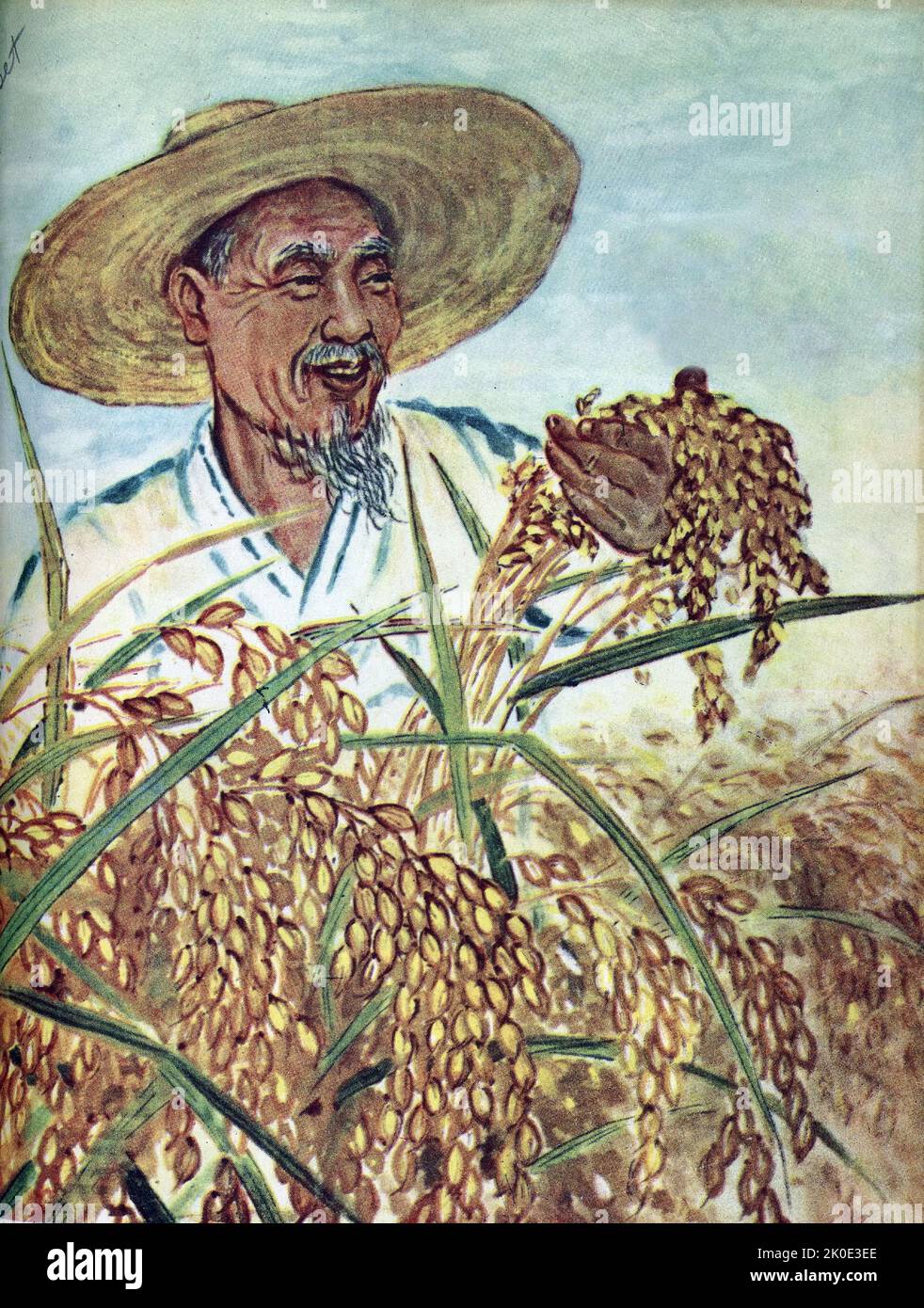 Nordkoreanische Propaganda, die eine reiche Weizenproduktion staatlicher Betriebe zeigt, 1962. Stockfoto